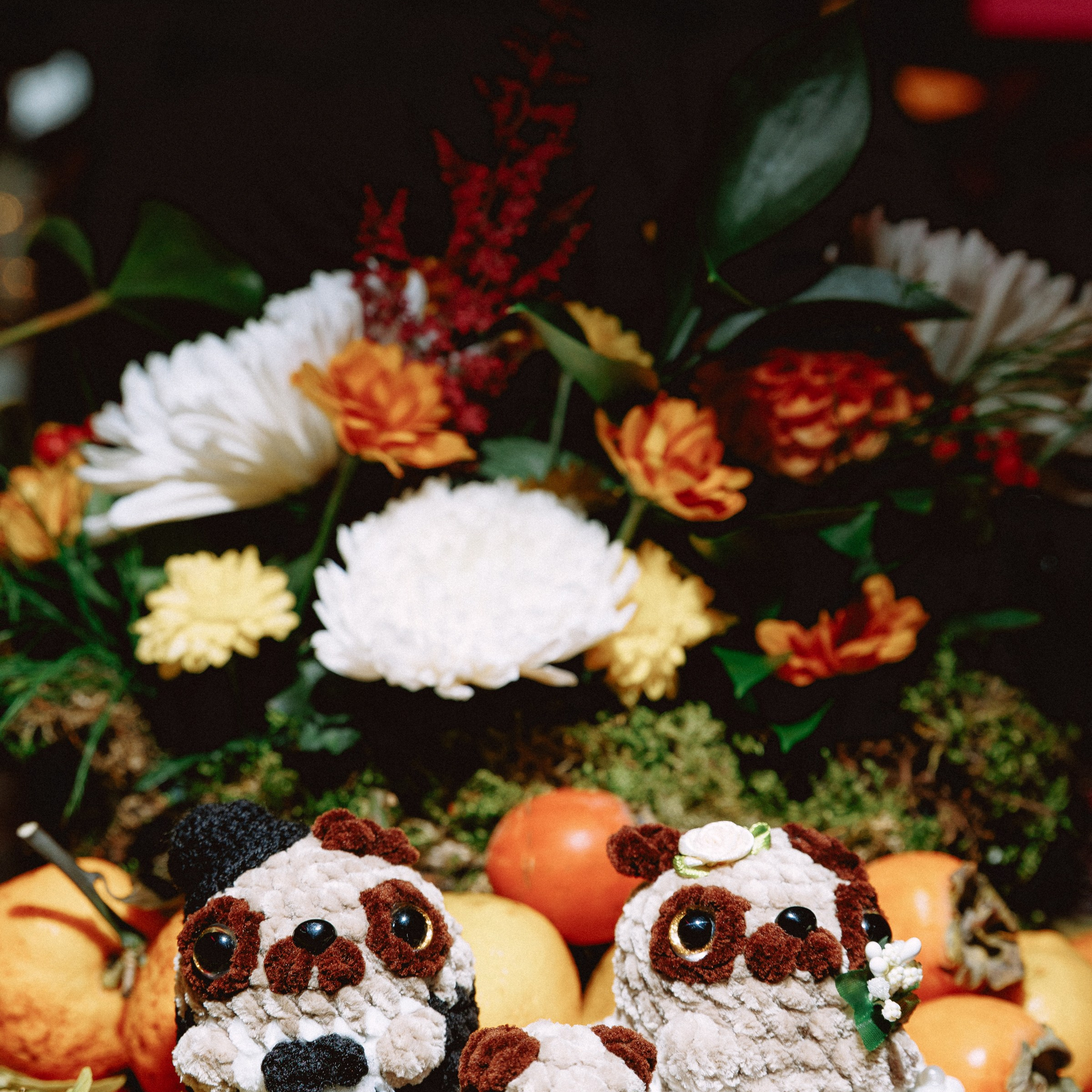 АВАНГАРД. EFIMOV IN SPACE — свадебный фотограф