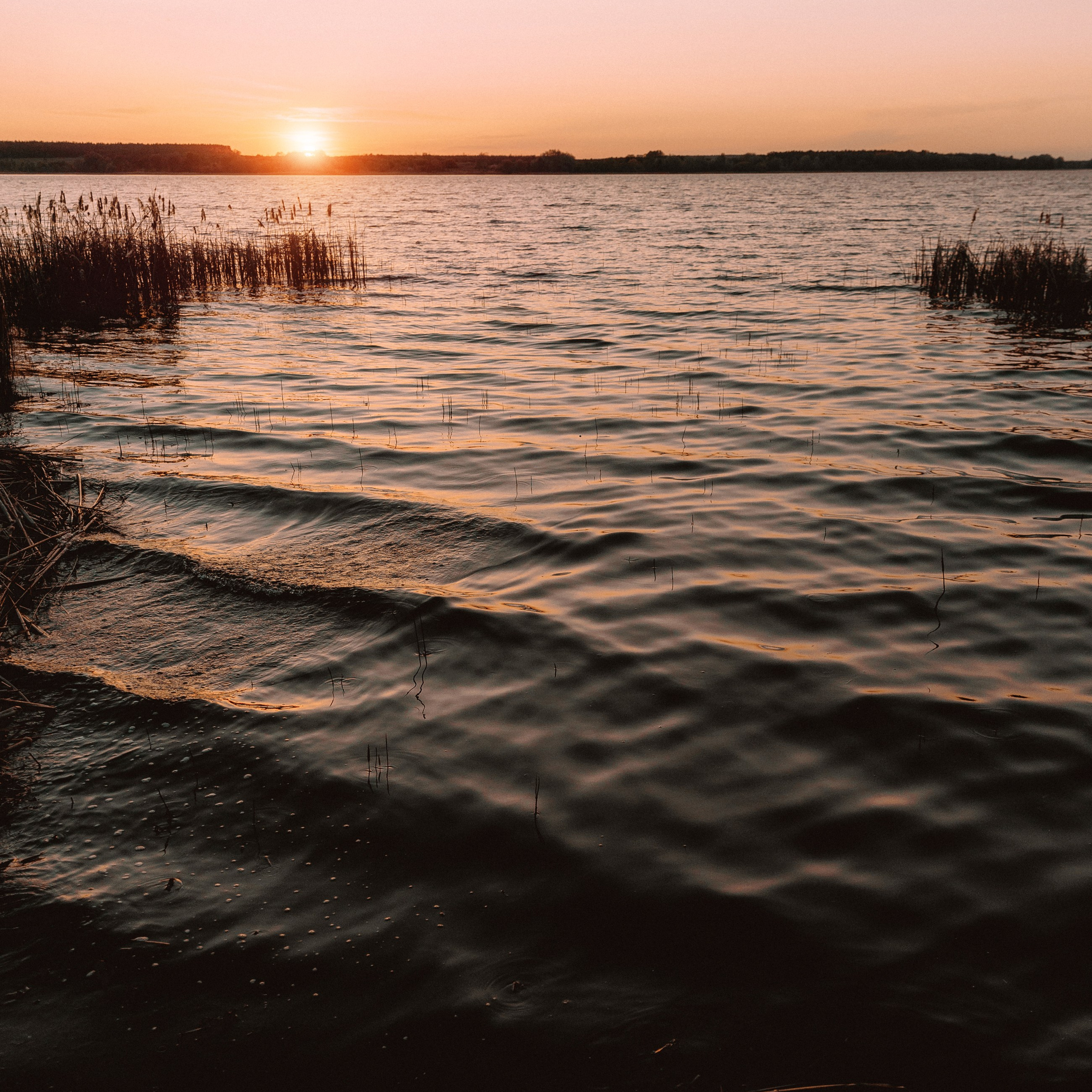 ВЕСНА. EFIMOV IN SPACE — свадебный фотограф