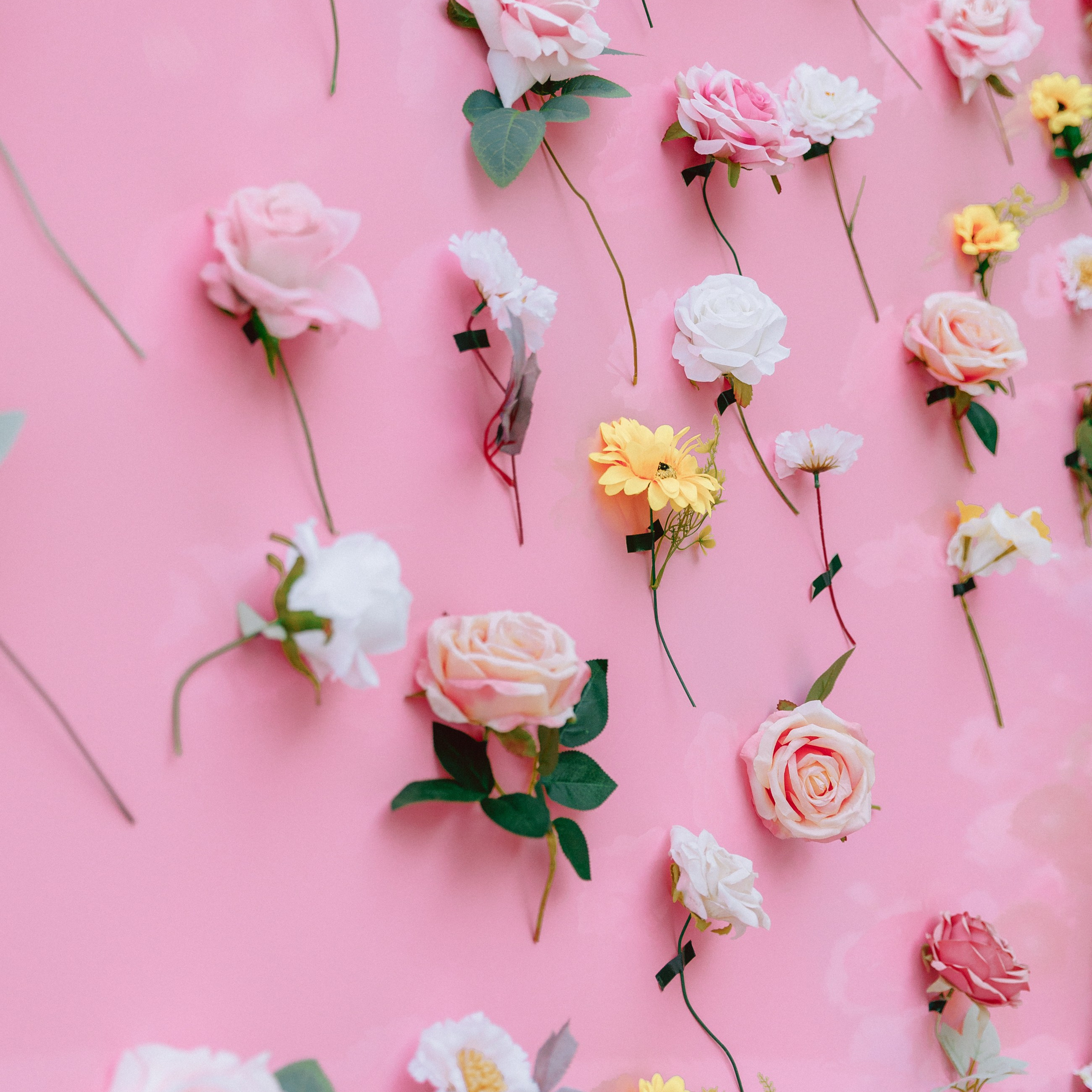 ВЕСНА. EFIMOV IN SPACE — свадебный фотограф