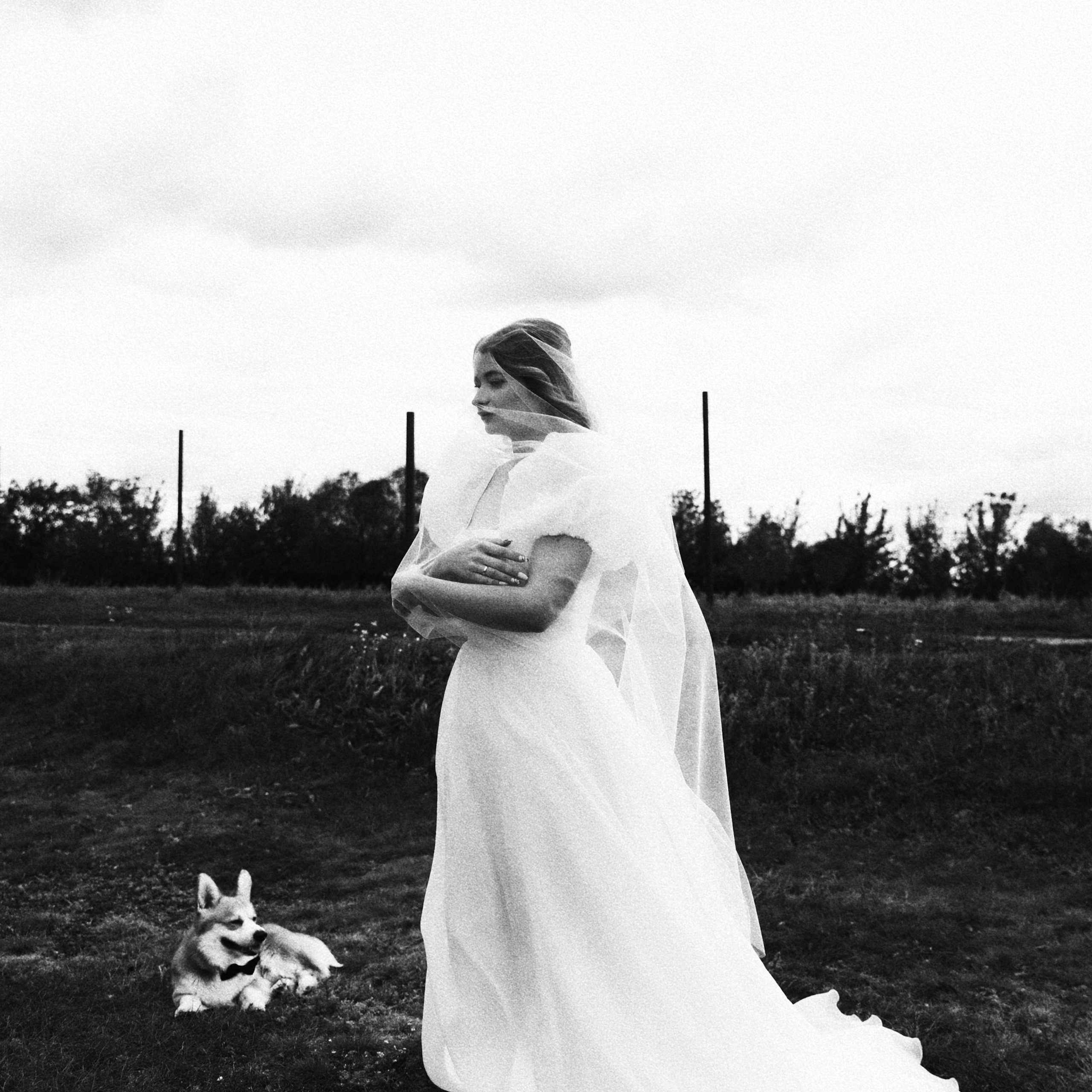 BULKA. EFIMOV IN SPACE — свадебный фотограф