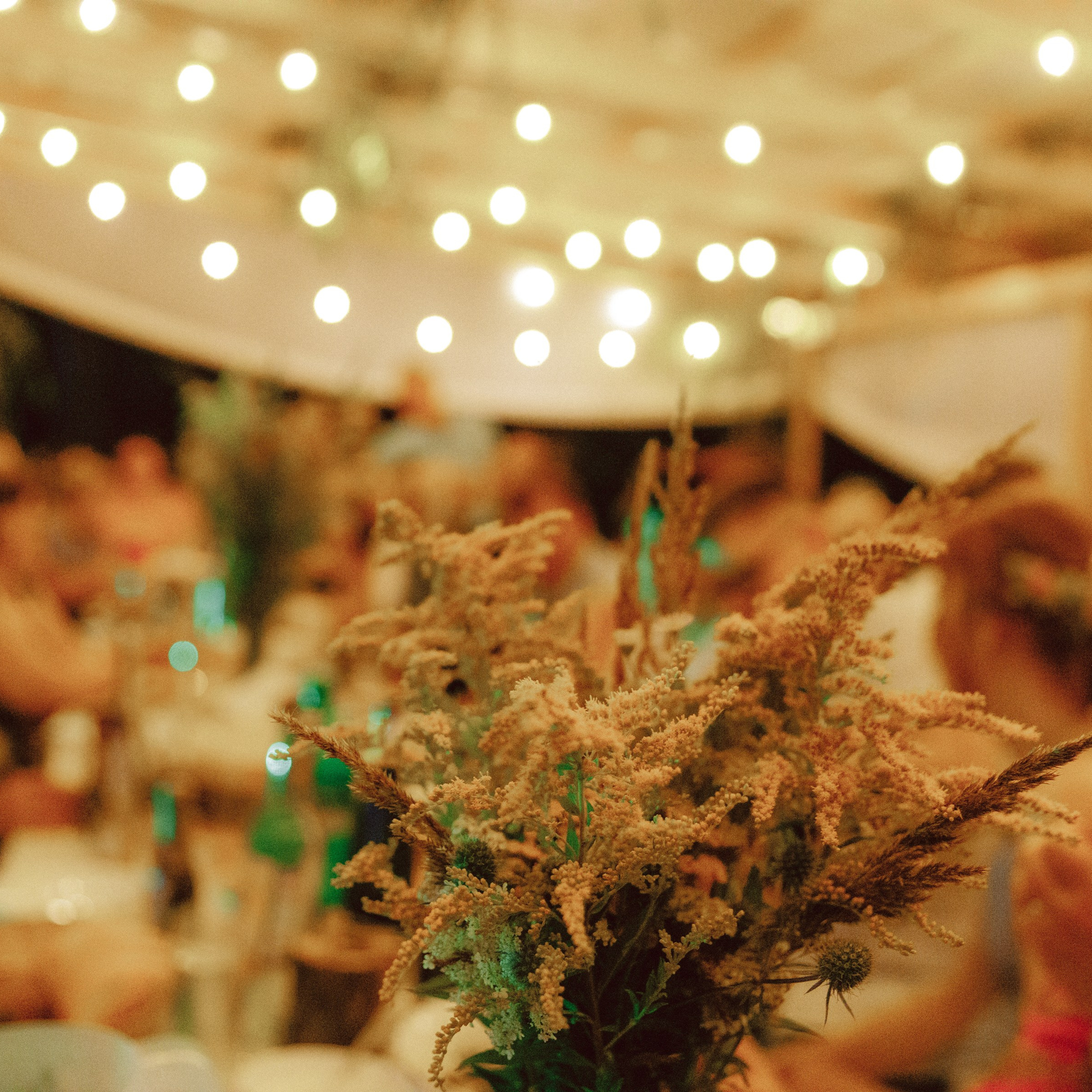 ДО ГРОБА. EFIMOV IN SPACE — свадебный фотограф