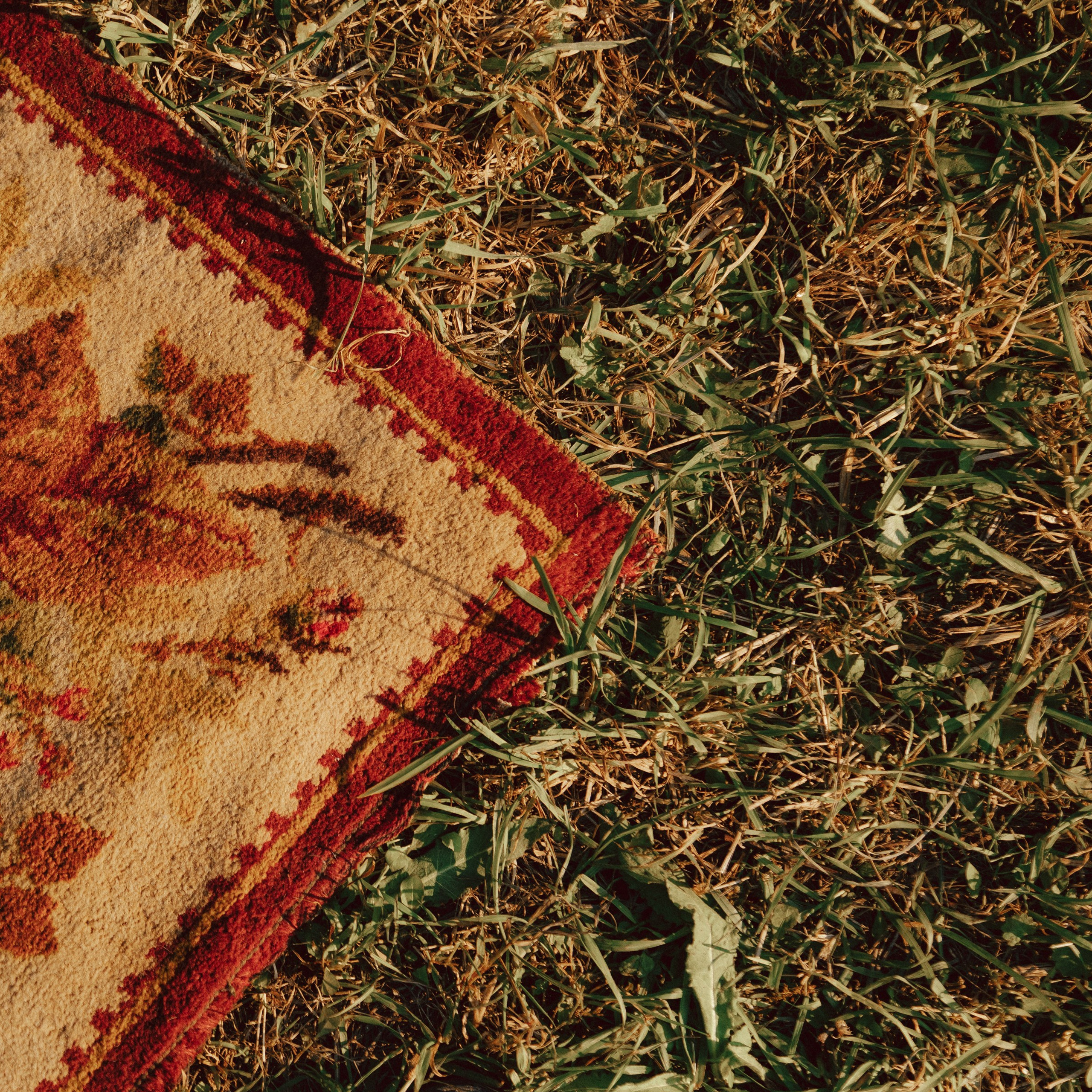 ДО ГРОБА. EFIMOV IN SPACE — свадебный фотограф