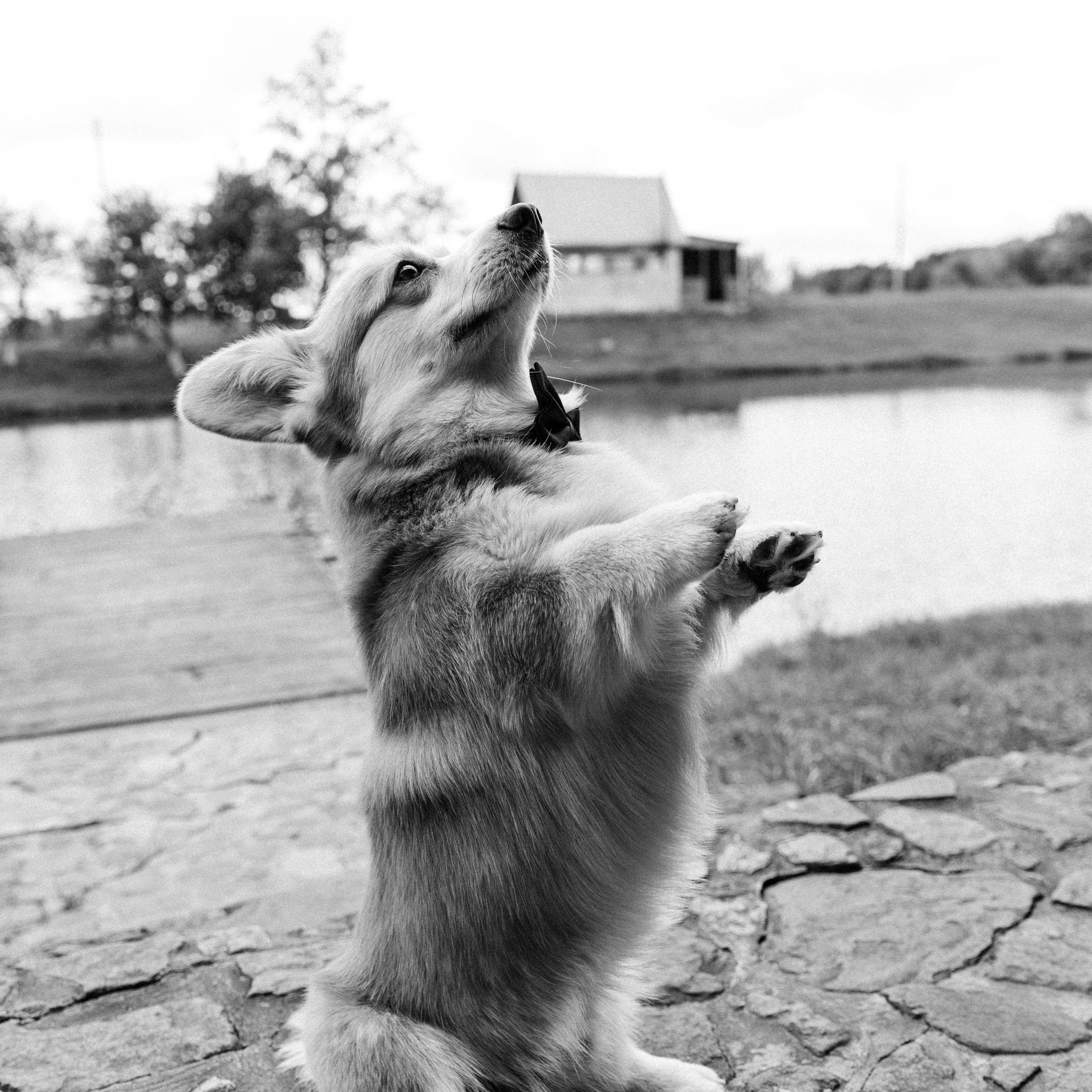 BULKA. EFIMOV IN SPACE — свадебный фотограф