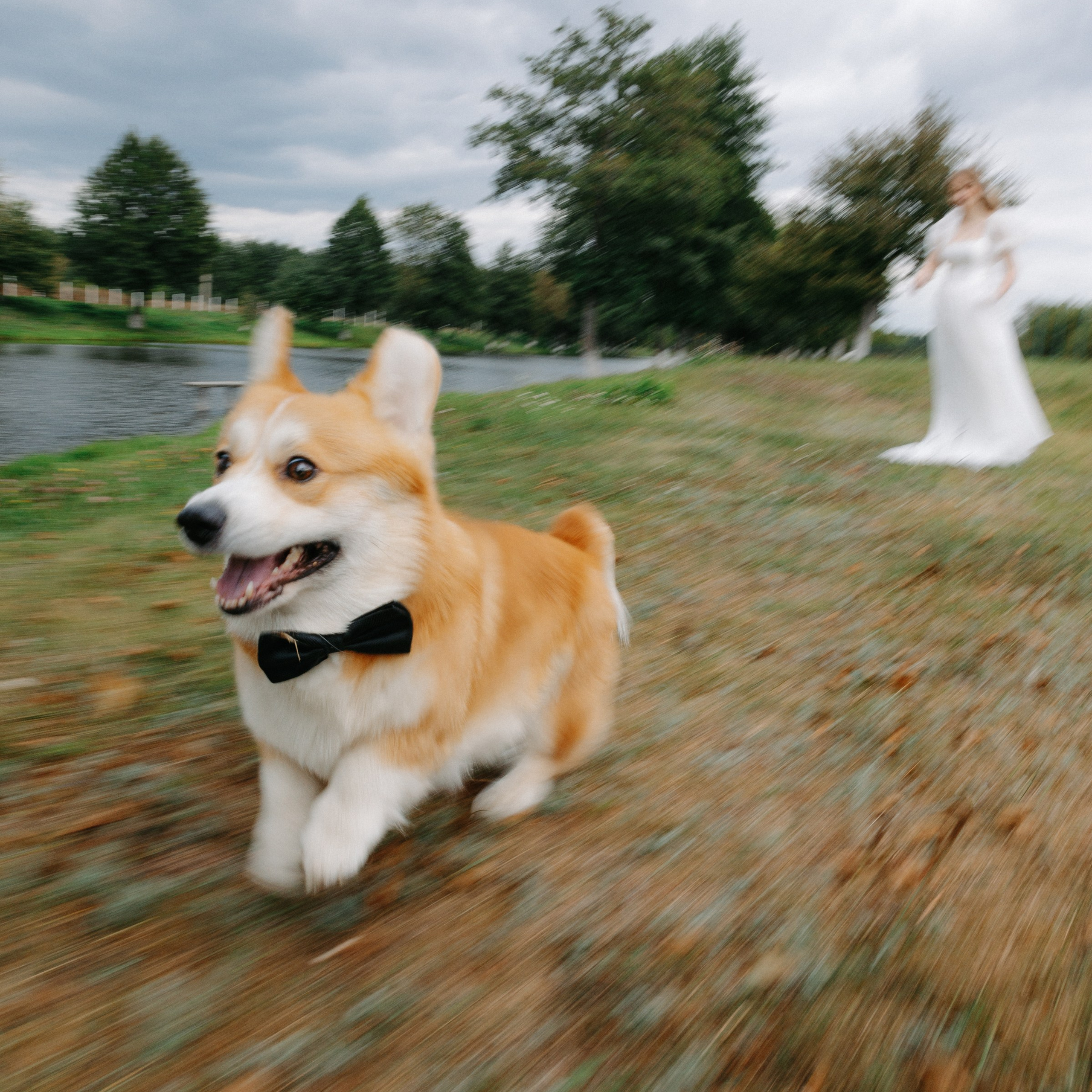 BULKA. EFIMOV IN SPACE — свадебный фотограф