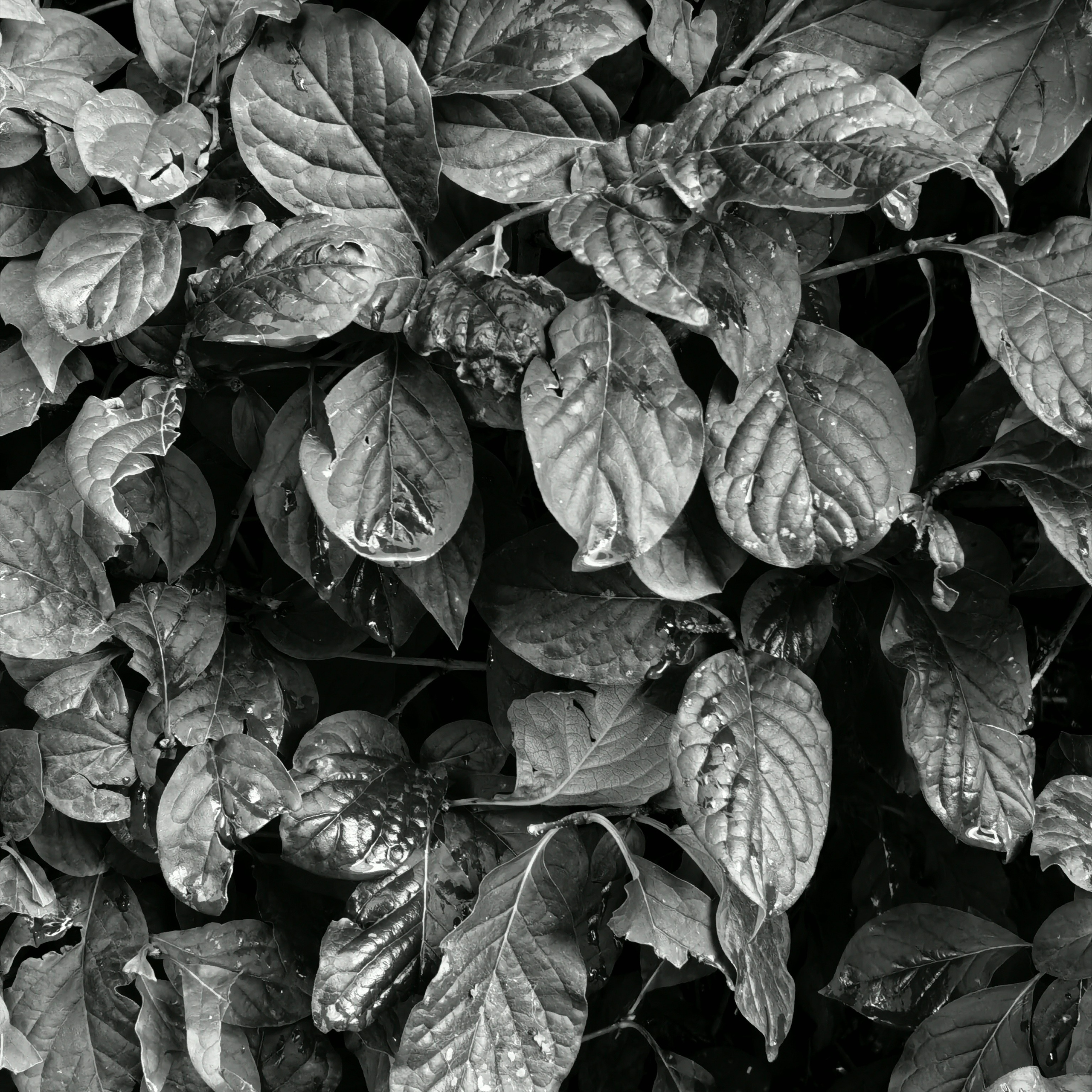 Анонсы фотосъемок, интервью с героями, бэкстейдж