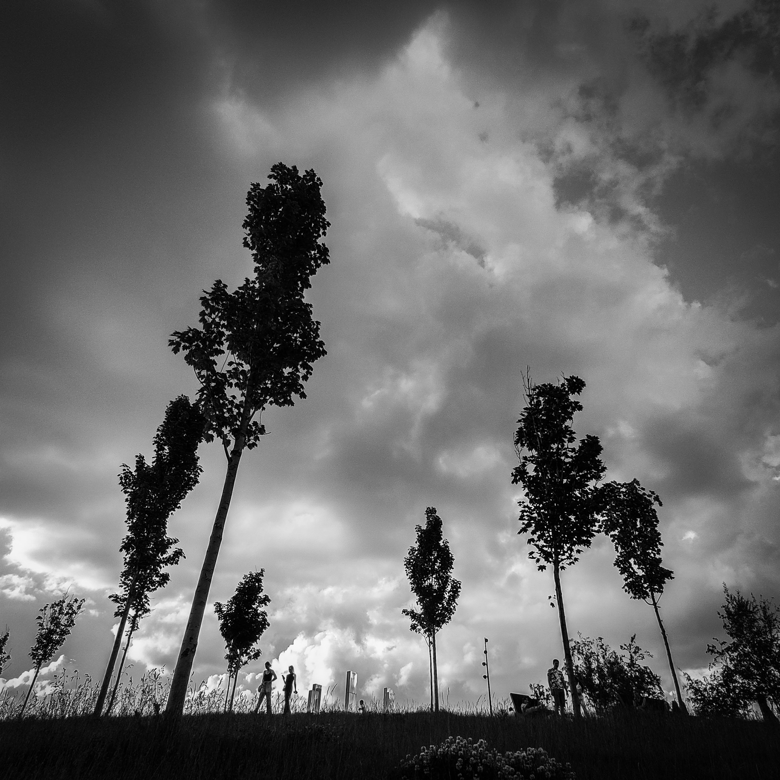 ЗАРИСОВКИ. Ирина Князева | фотограф | Москва