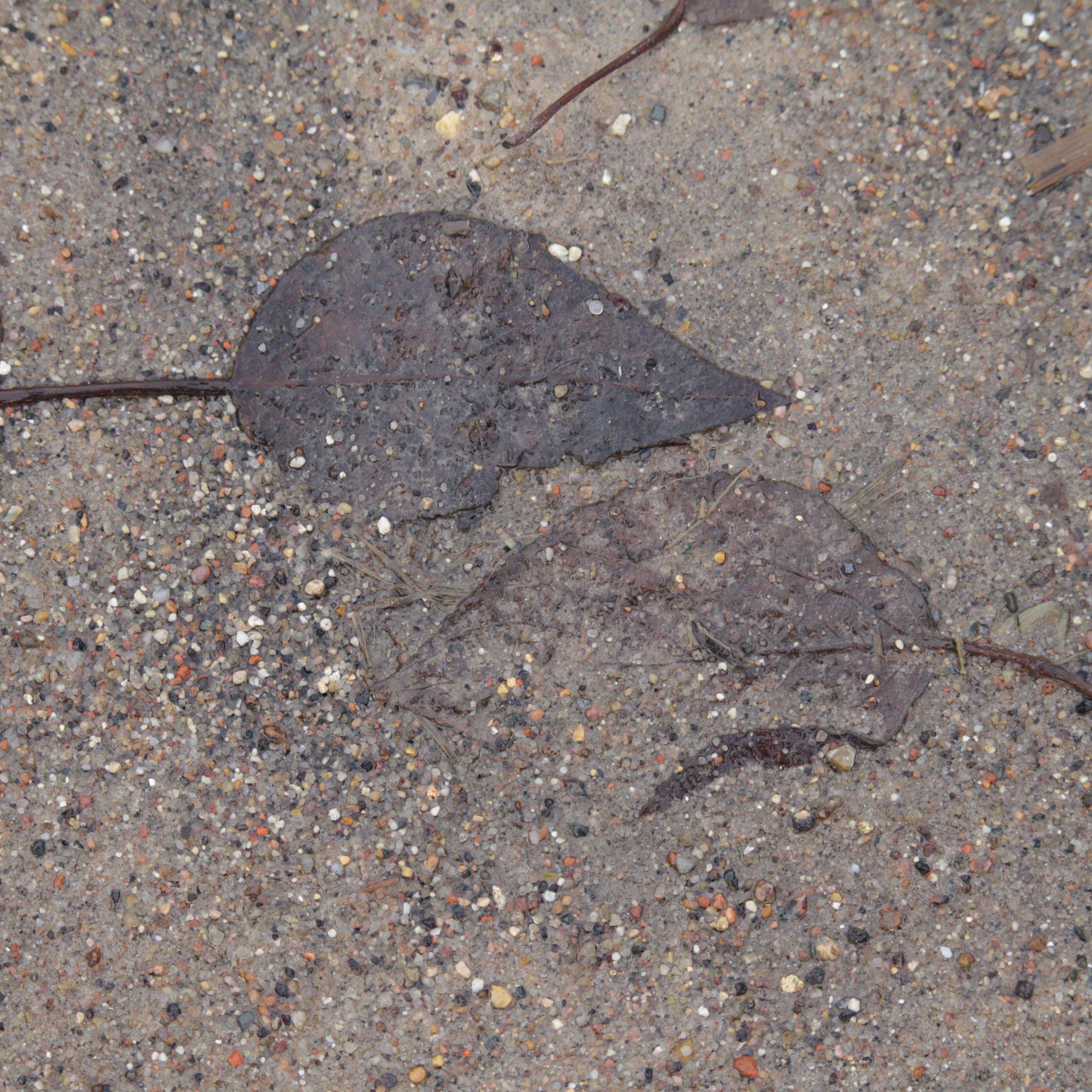 ЗАРИСОВКИ. Ирина Князева | фотограф | Москва