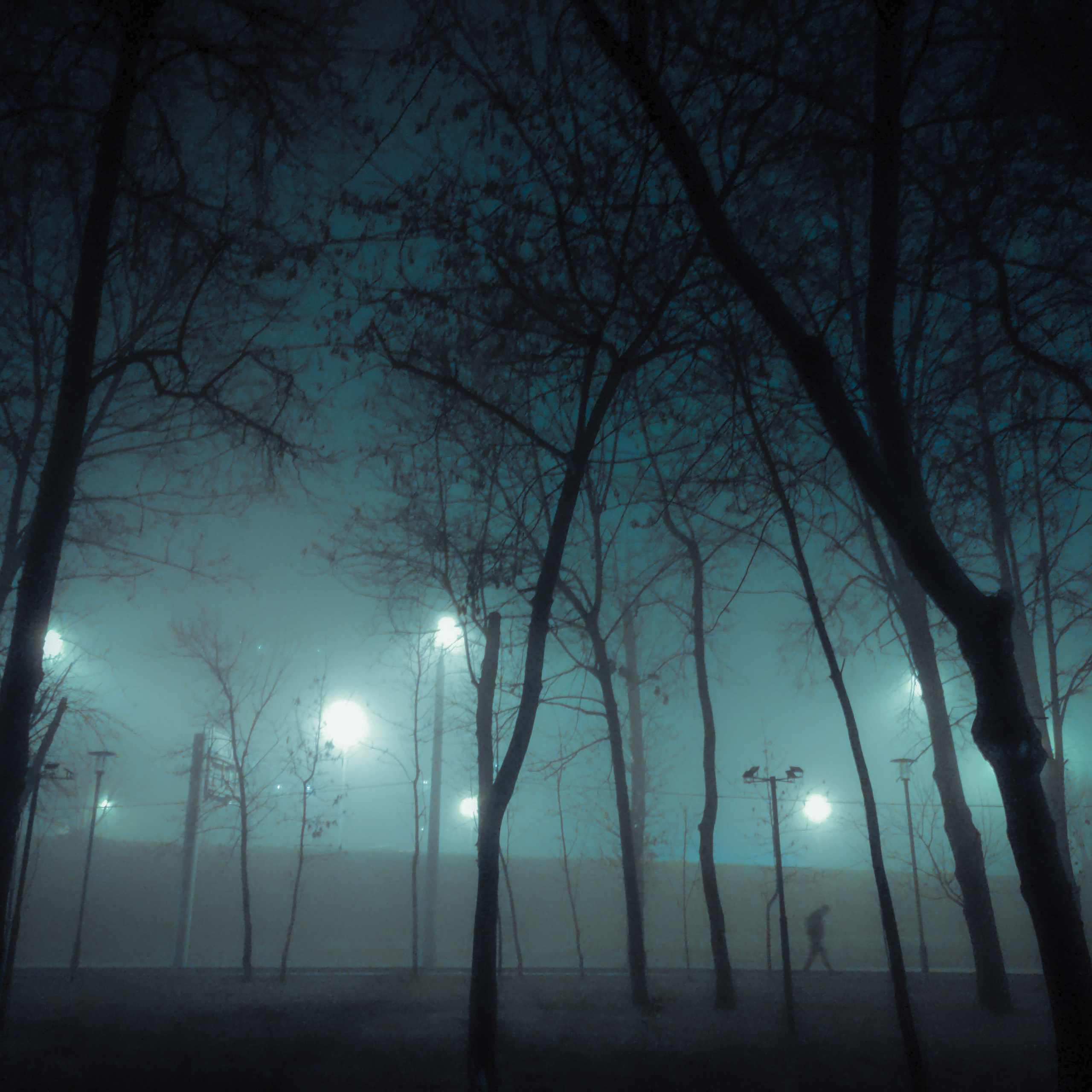 ЗАРИСОВКИ. Ирина Князева | фотограф | Москва