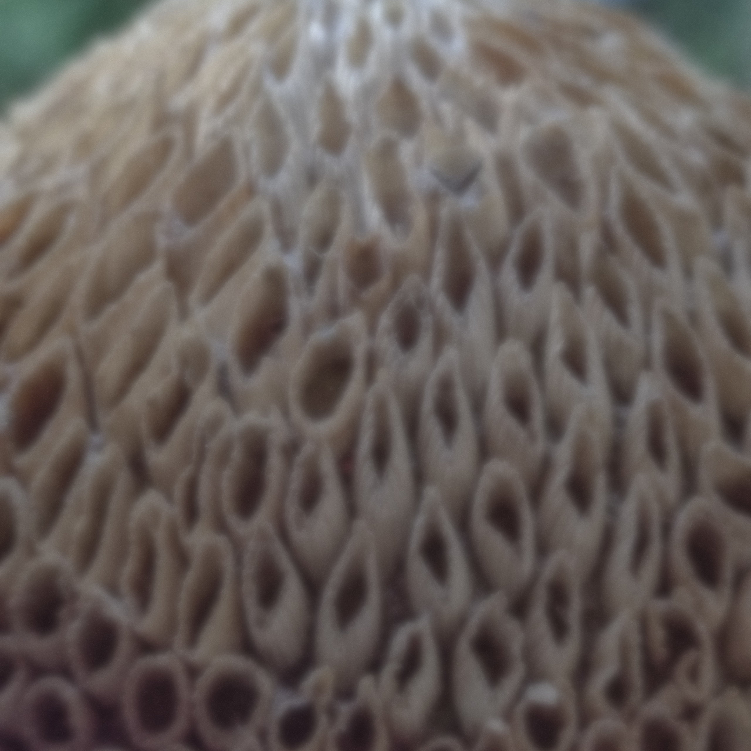 ЗАРИСОВКИ. Ирина Князева | фотограф | Москва