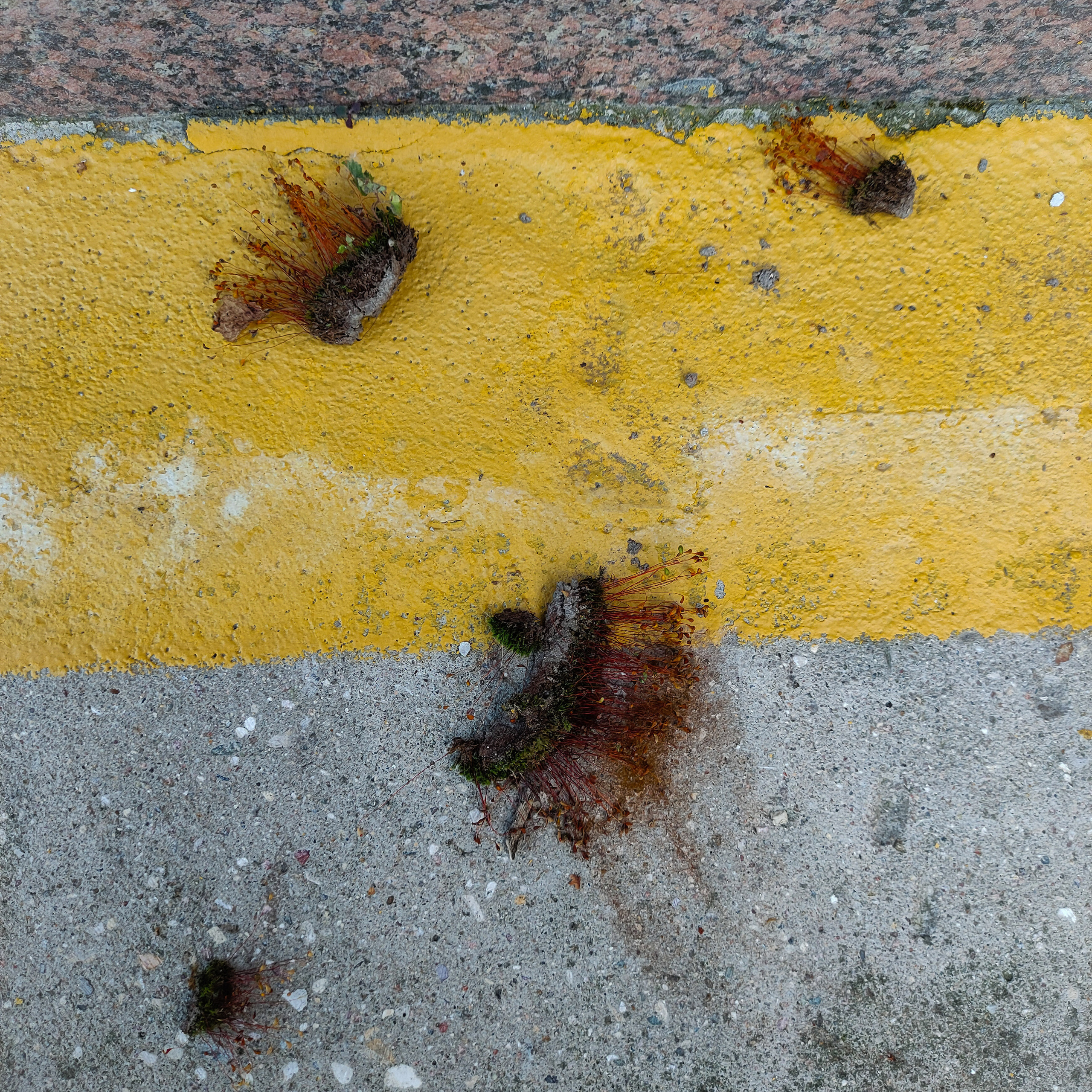 ЗАРИСОВКИ. Ирина Князева | фотограф | Москва