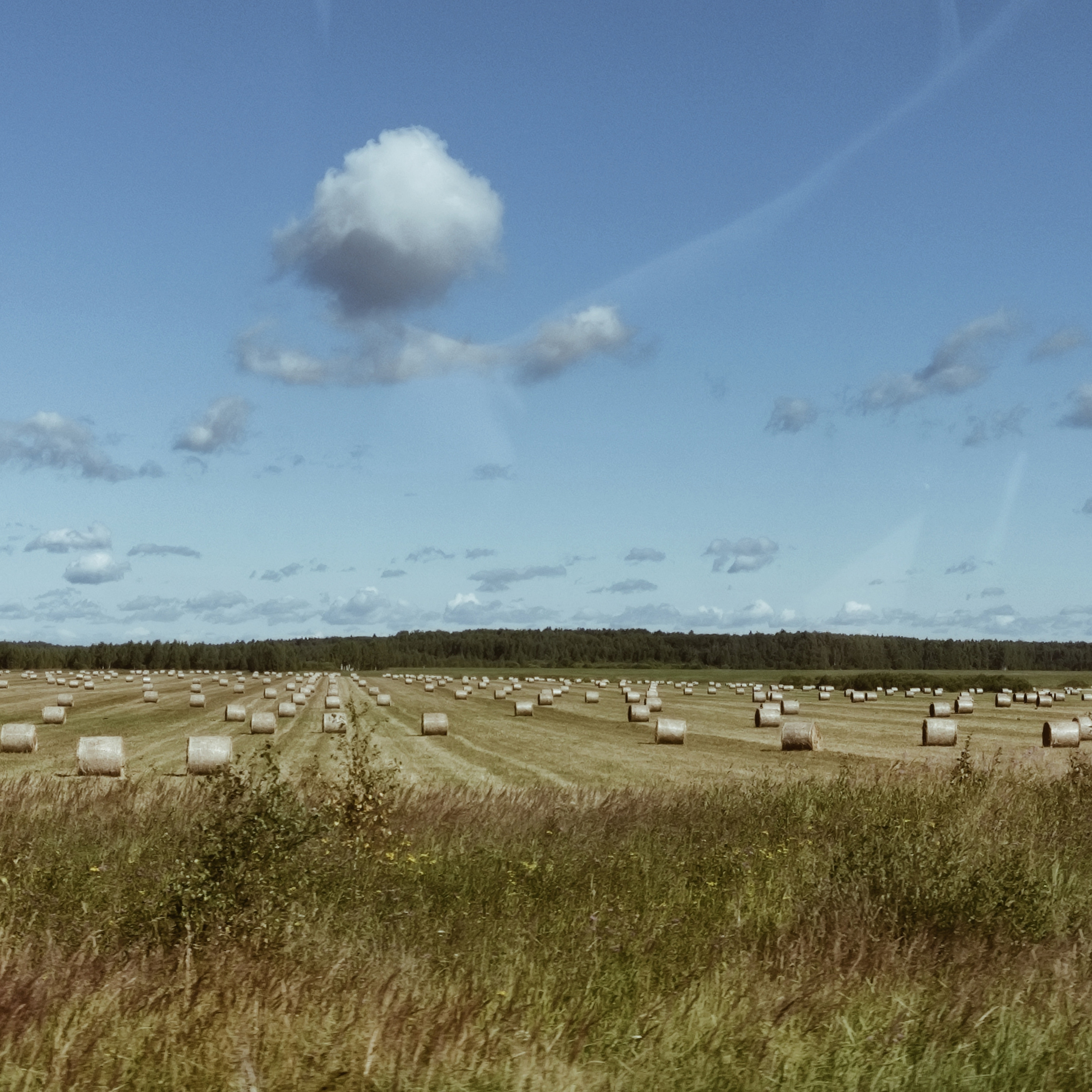 ЗАРИСОВКИ. Ирина Князева | фотограф | Москва