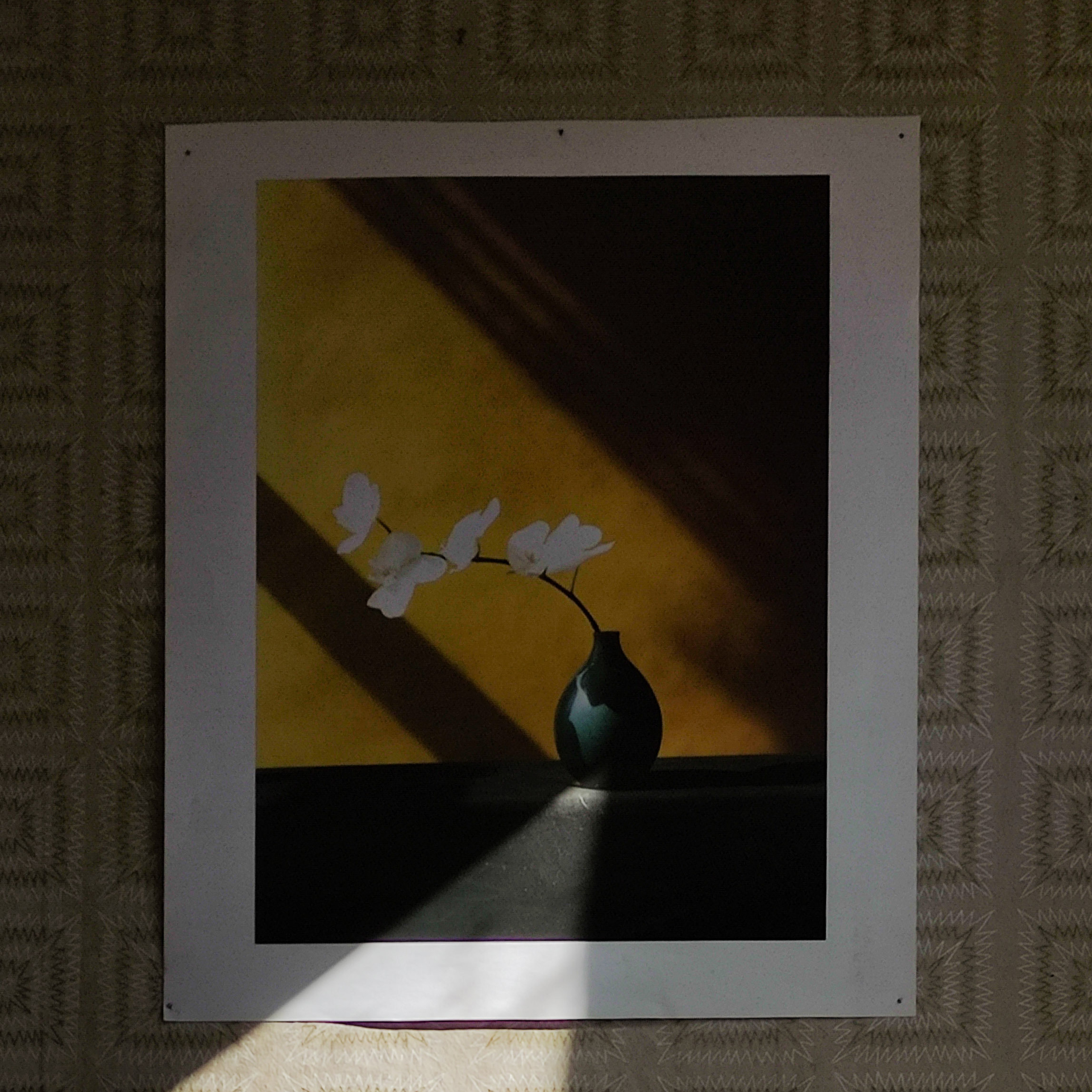 ЗАРИСОВКИ. Ирина Князева | фотограф | Москва