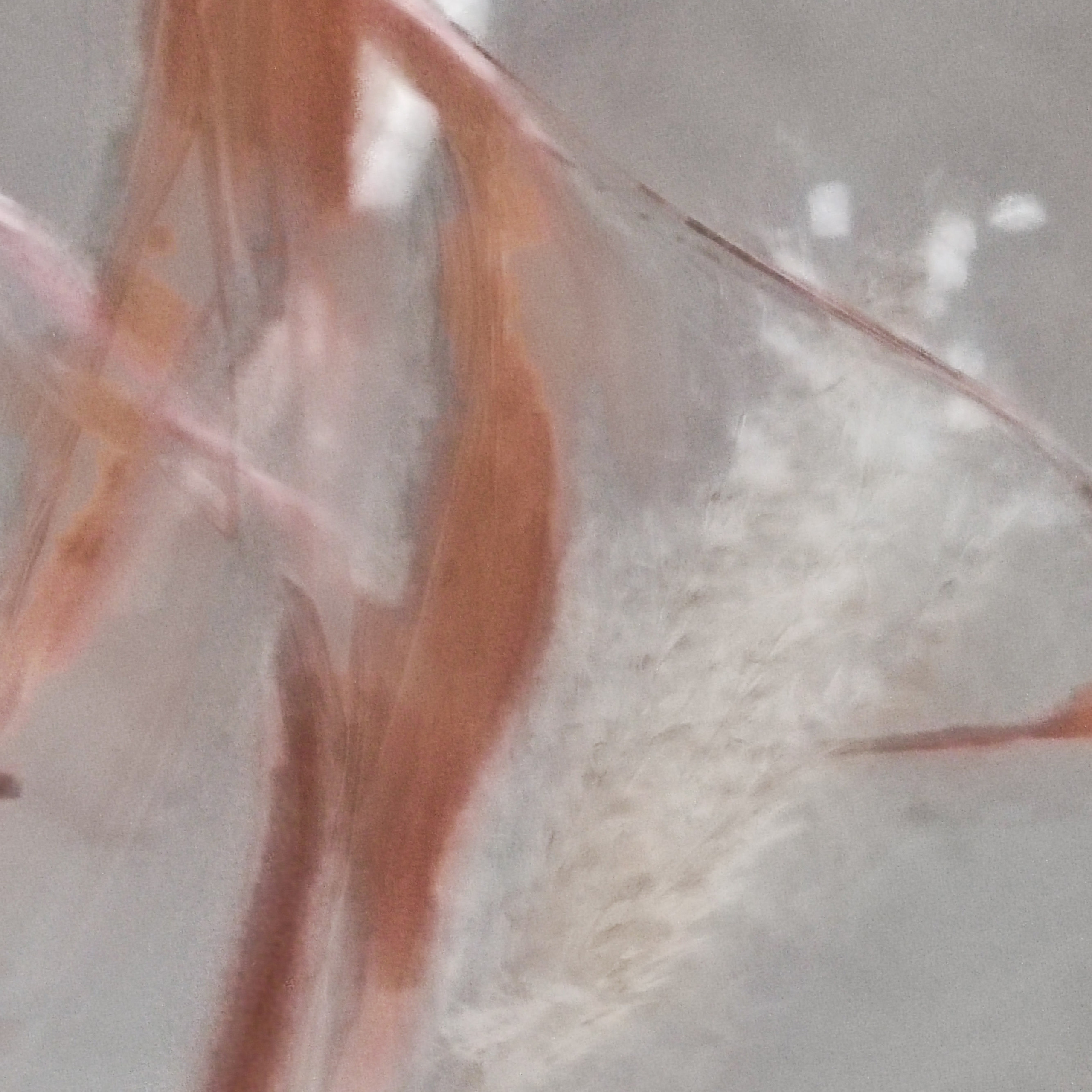 ЗАРИСОВКИ. Ирина Князева | фотограф | Москва