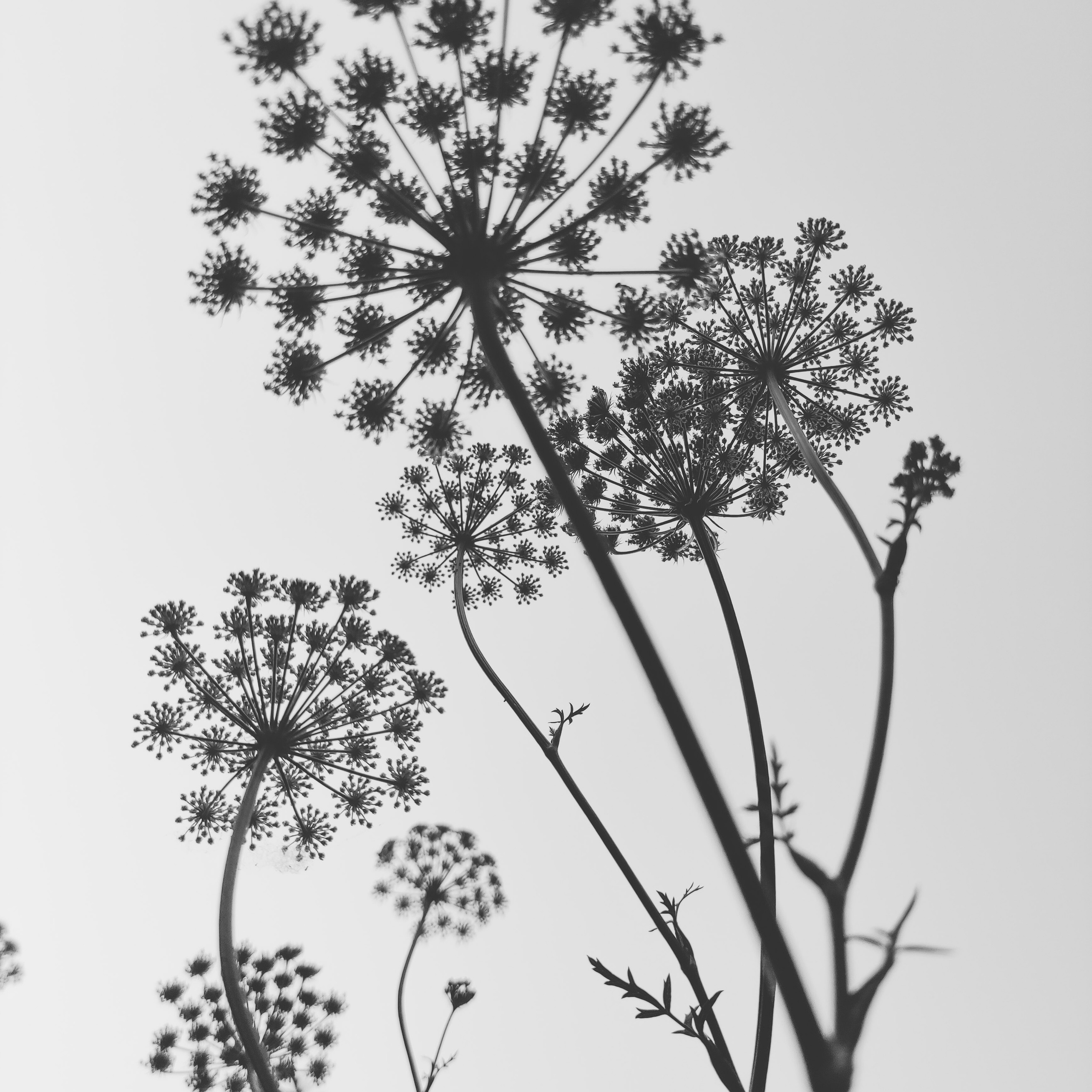 ЗАРИСОВКИ. Ирина Князева | фотограф | Москва