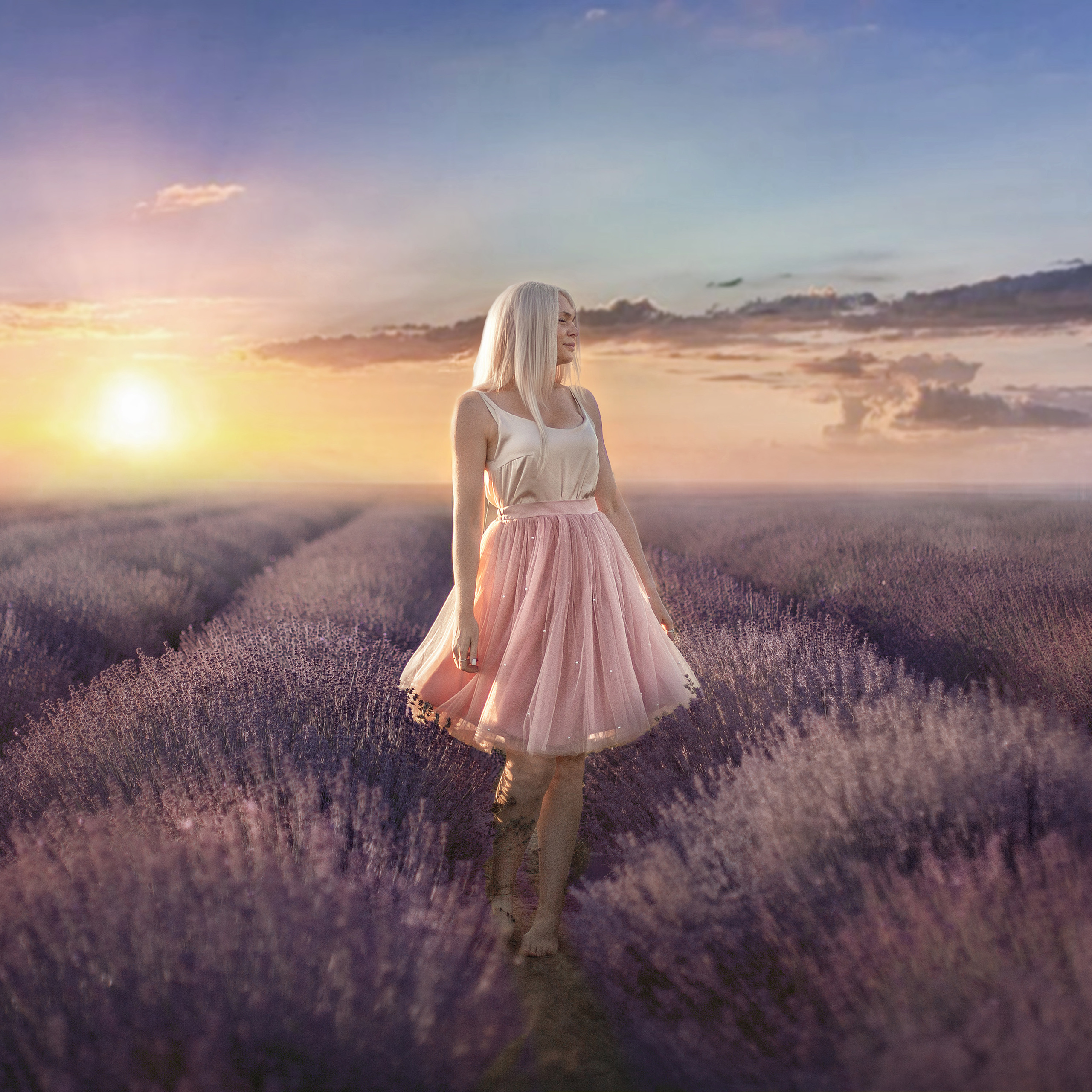 Лавандовые поля