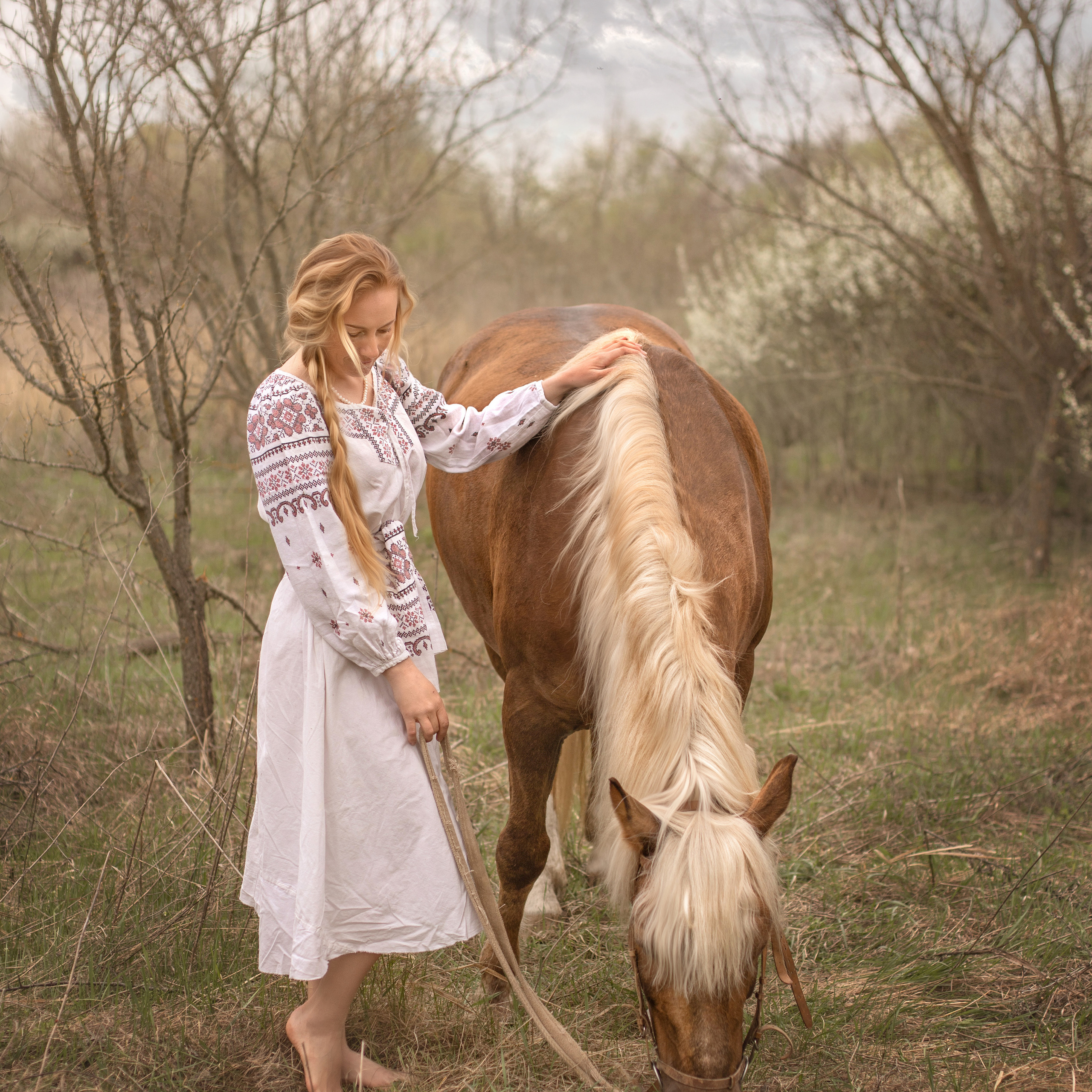 Конный двор