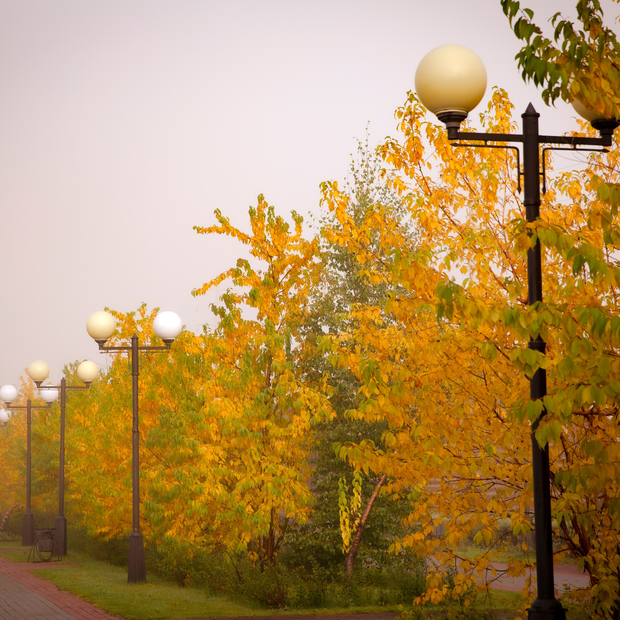 Пейзажи, натюрморты, урбанистика. Фотограф в Нефтеюганске Чтенцова Юлия