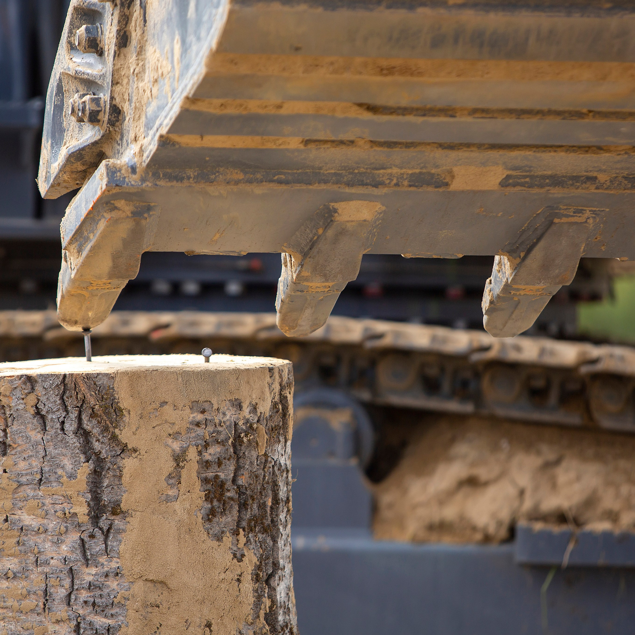 Мероприятия в организациях. Фотограф в Нефтеюганске Чтенцова Юлия