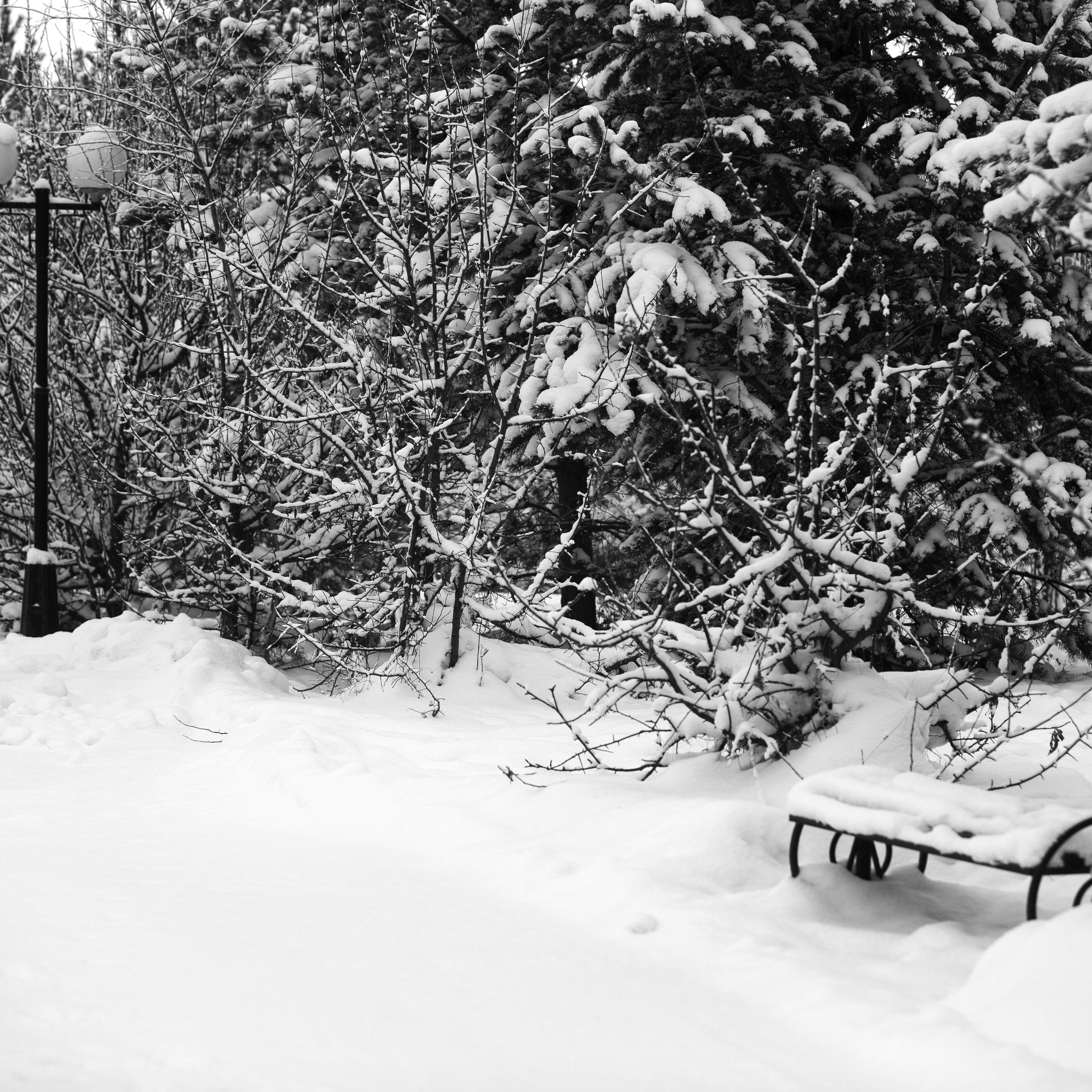 Пейзажи, натюрморты, урбанистика. Фотограф в Нефтеюганске Чтенцова Юлия
