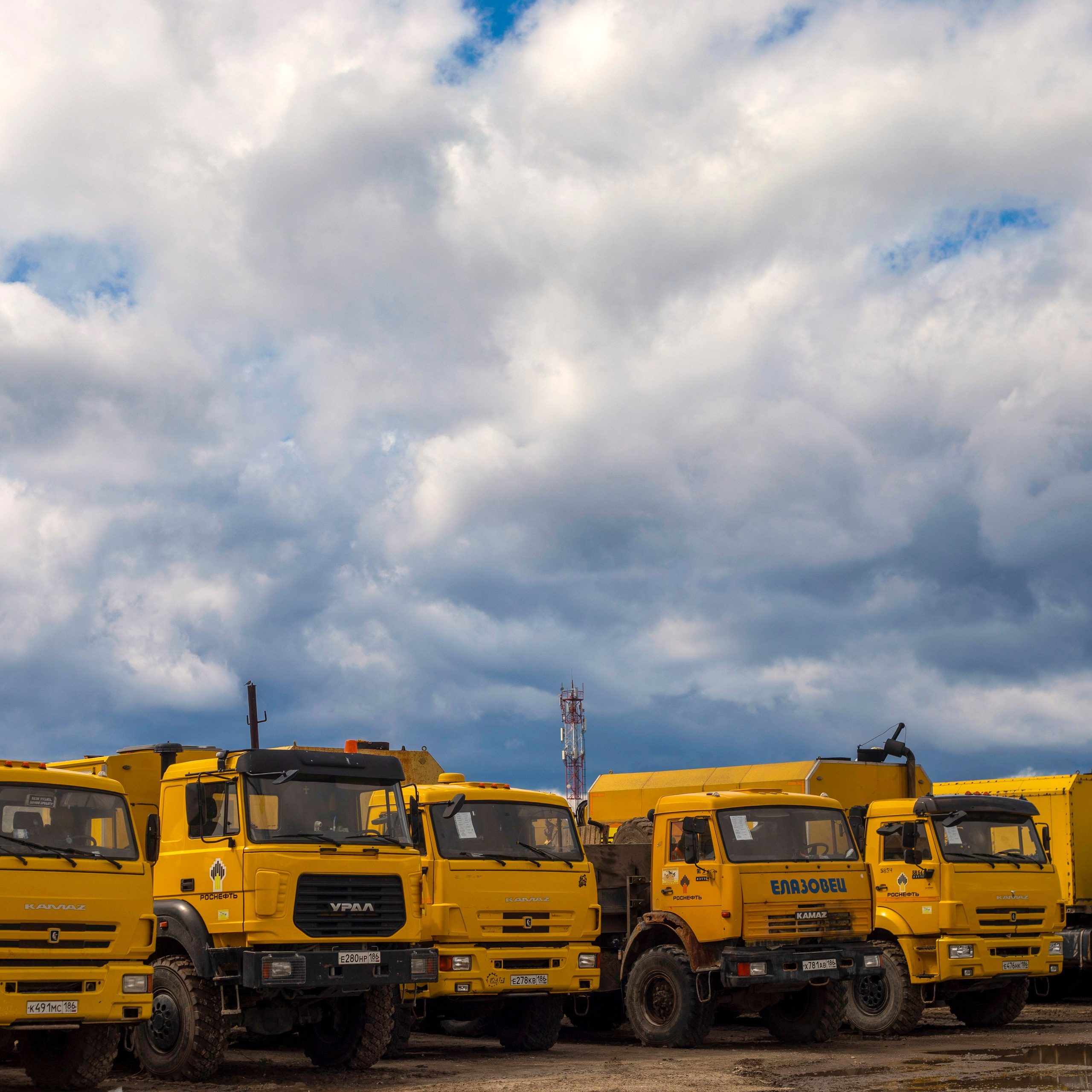 Мероприятия в организациях. Фотограф в Нефтеюганске Чтенцова Юлия