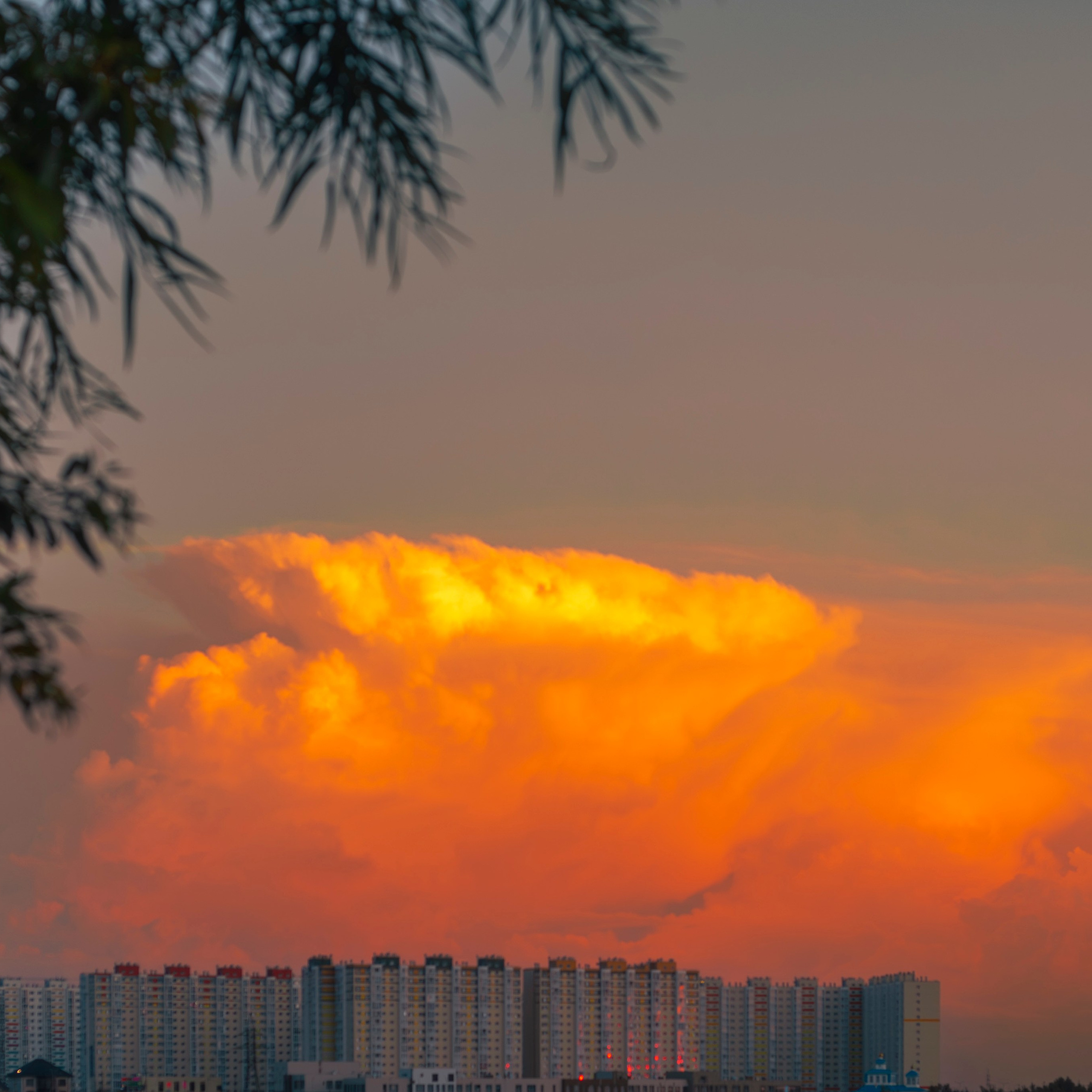 Пейзажи, натюрморты, урбанистика. Фотограф в Нефтеюганске Чтенцова Юлия