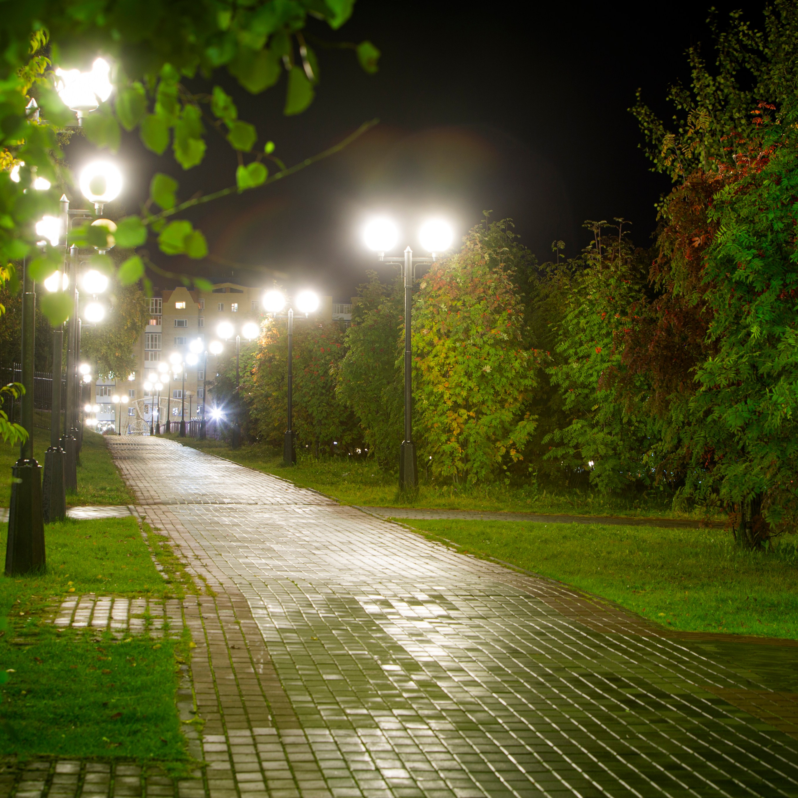 Пейзажи, натюрморты, урбанистика. Фотограф в Нефтеюганске Чтенцова Юлия