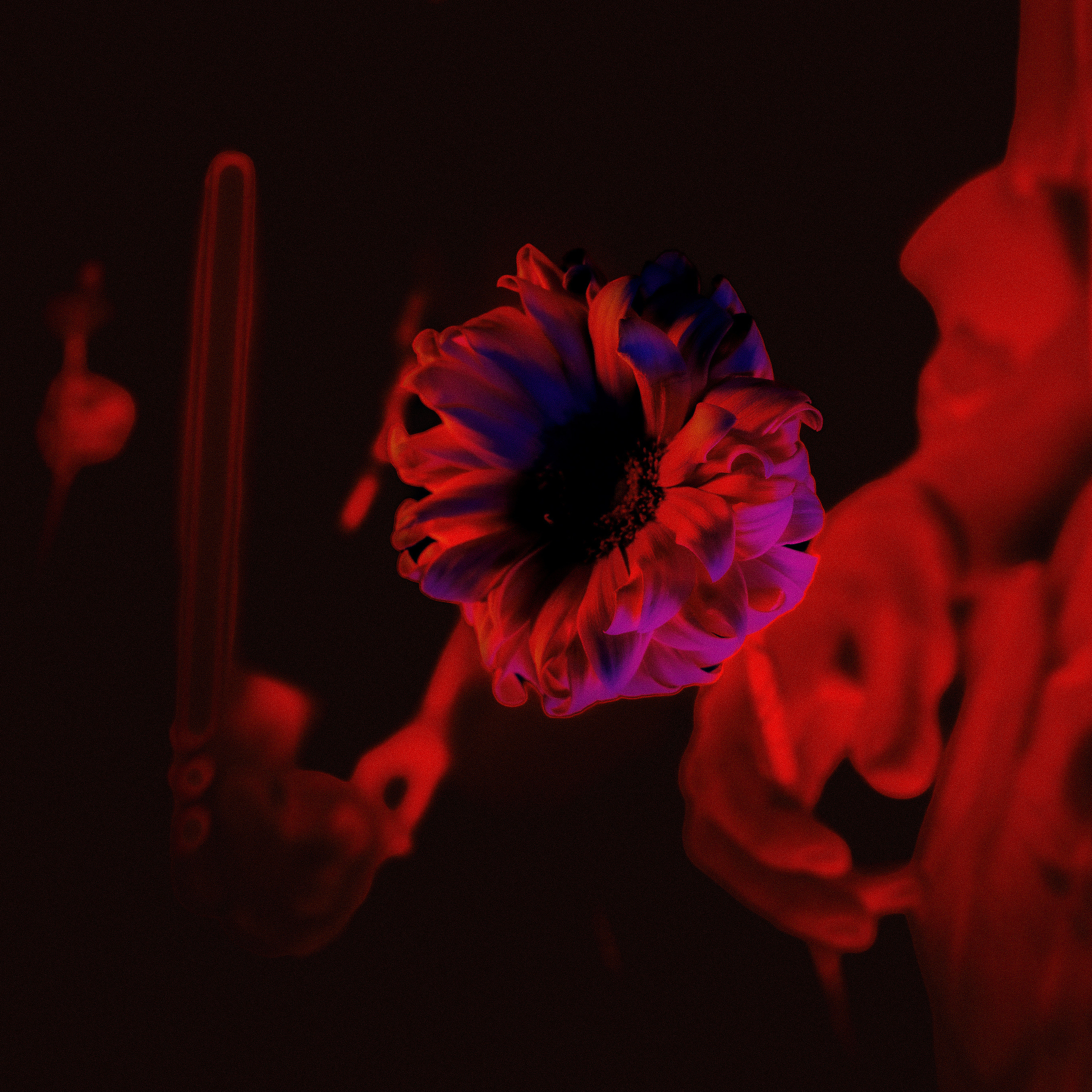 Отзывы. Stanislav Liepa Photography