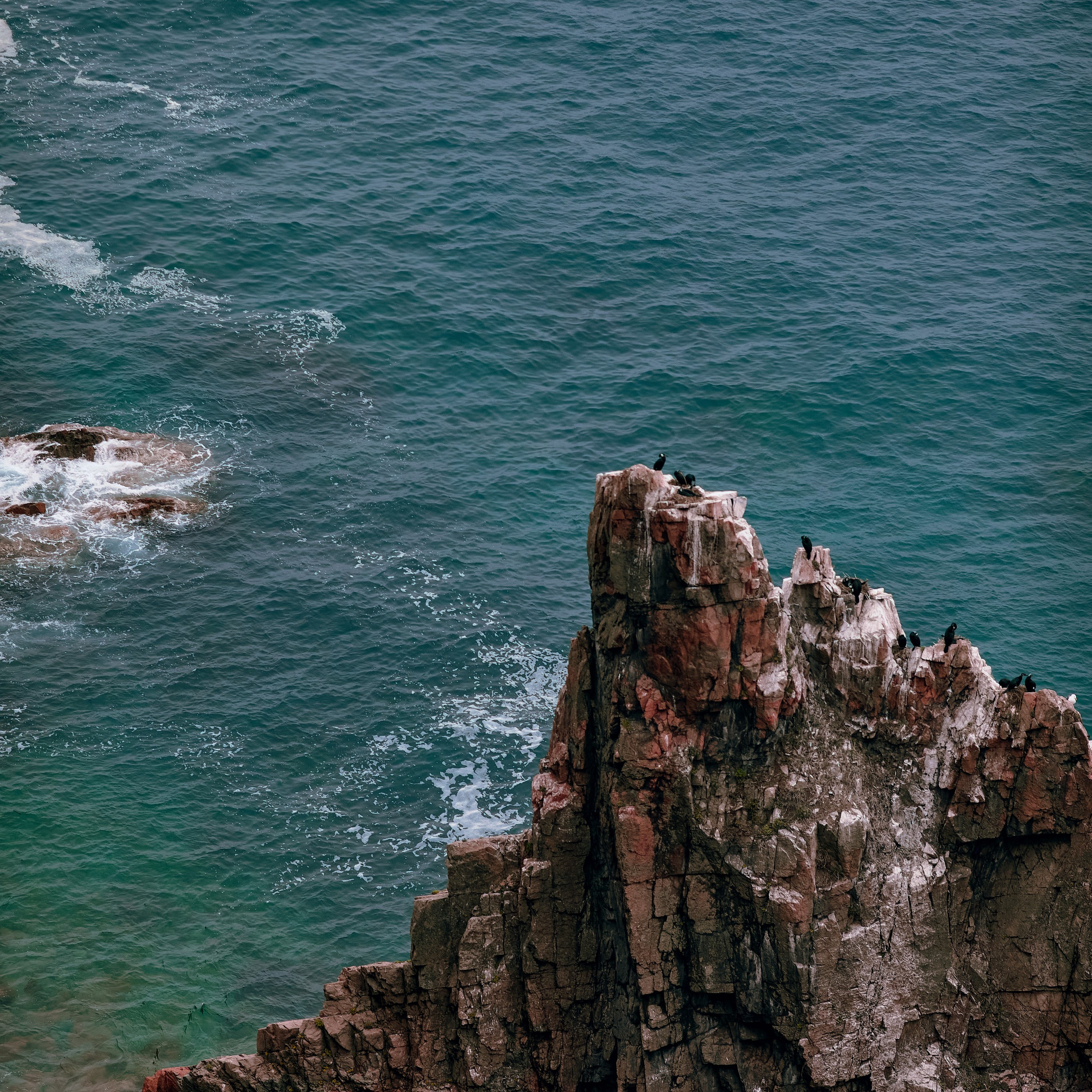 16 фото с острова Шкота