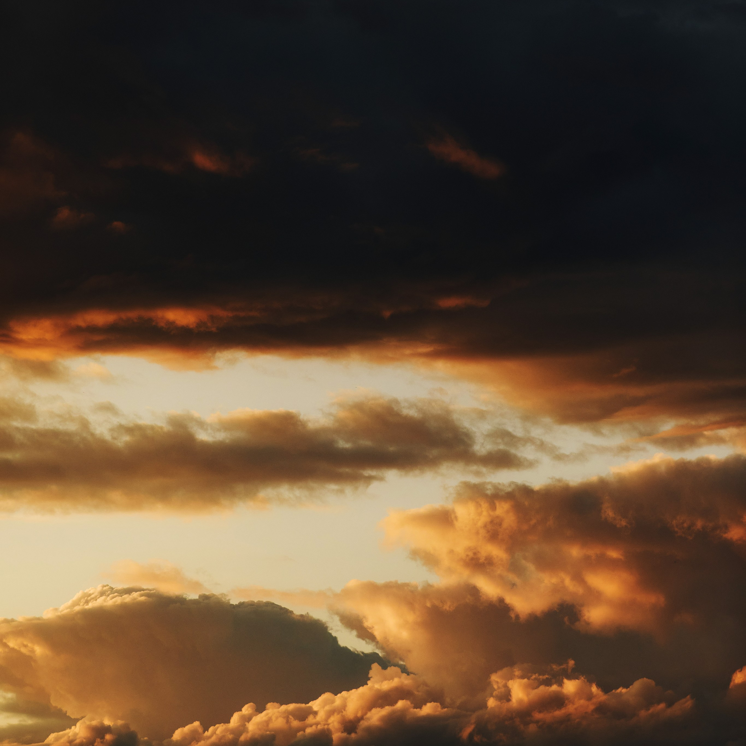 Отзывы клиентов