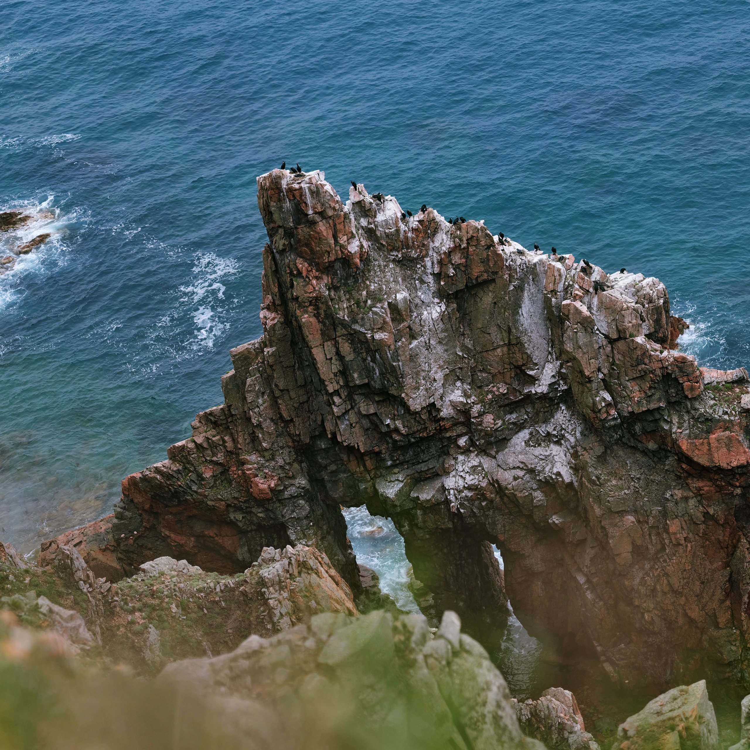 16 фото с острова Шкота