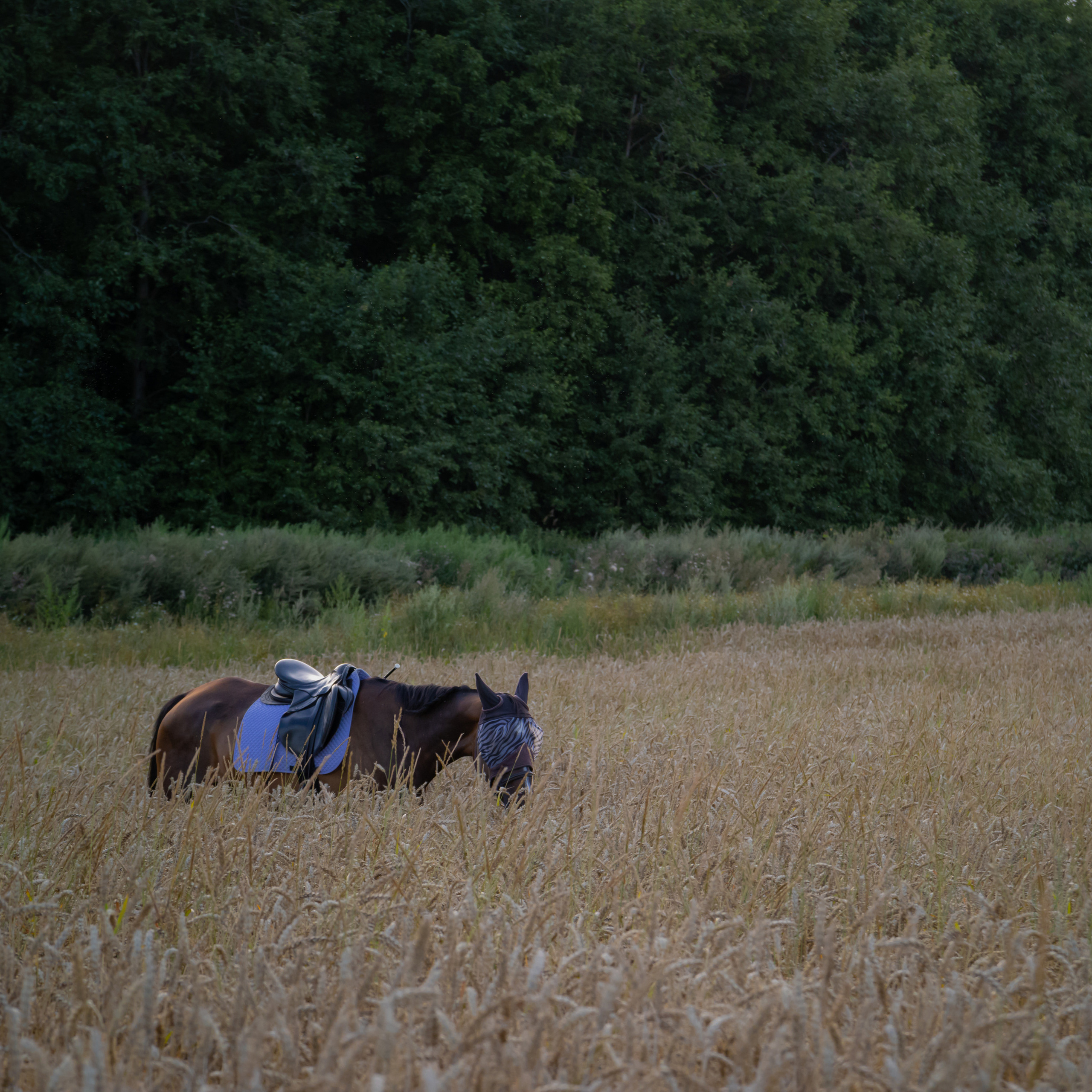 Отзывы. Ася Пчелинцева, фотограф в СПб и ЛО