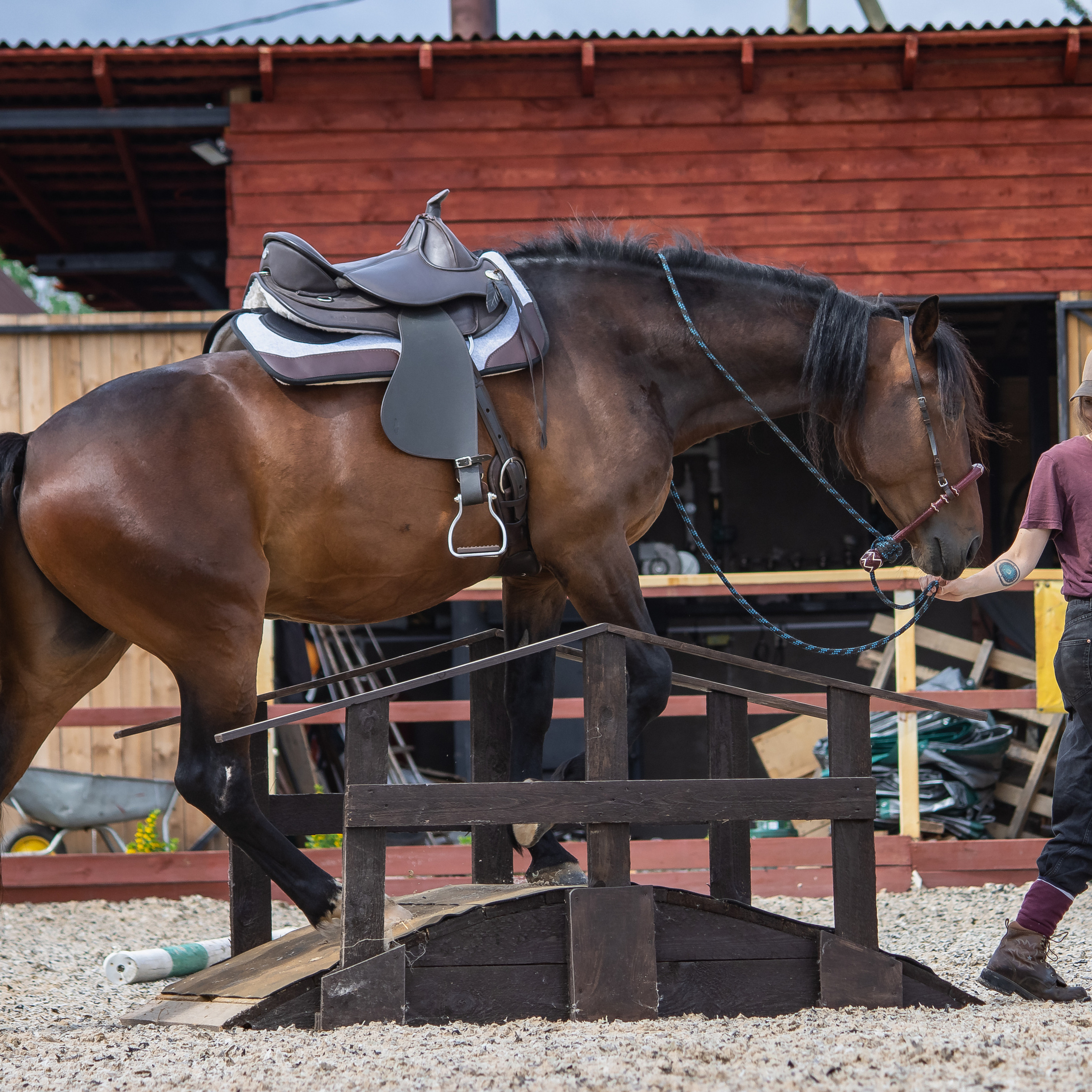 Отзывы. Ася Пчелинцева, фотограф в СПб и ЛО