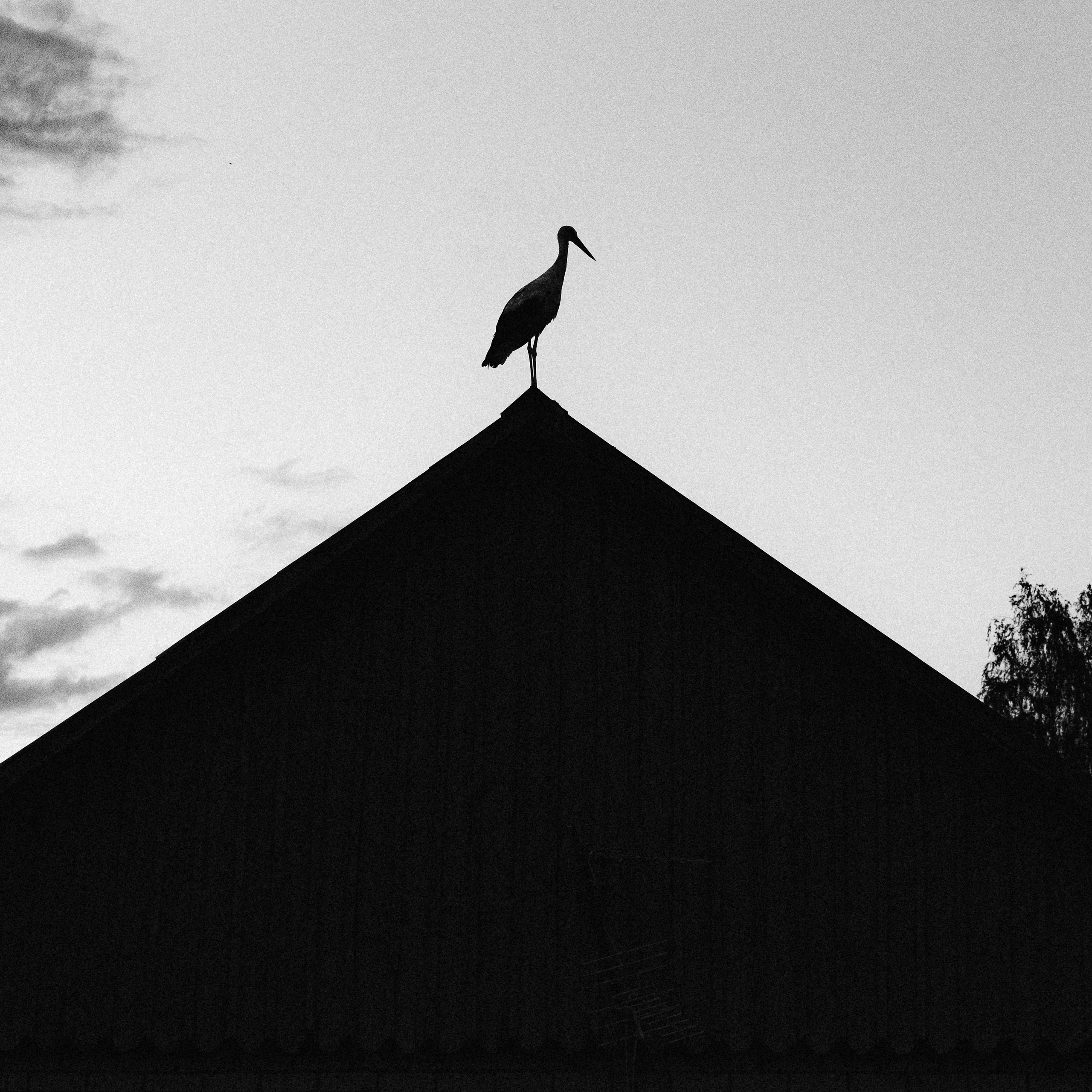 Консультация. Твой фотограф в Москве и Московской области Романцова Ирина