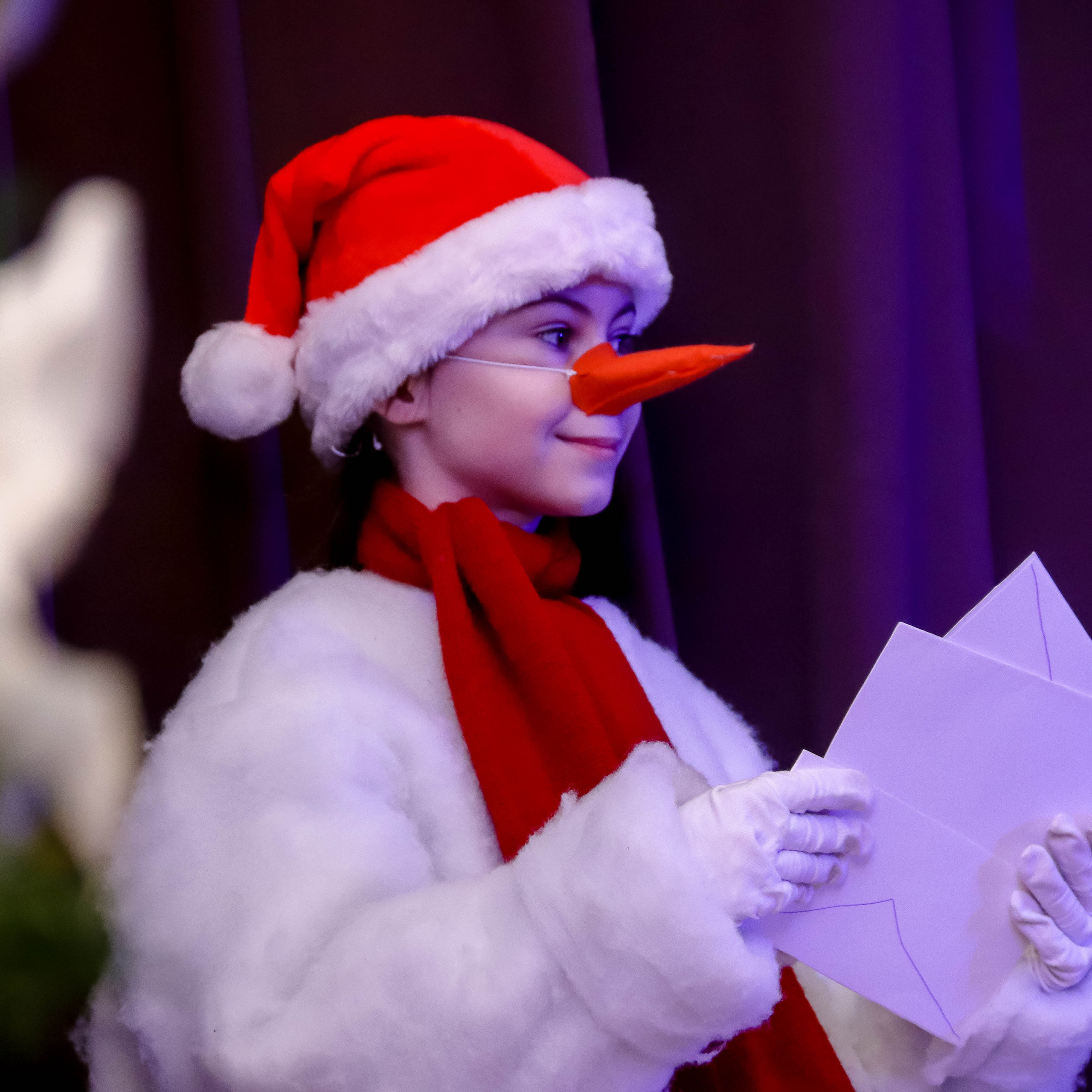 Новогодняя сказка