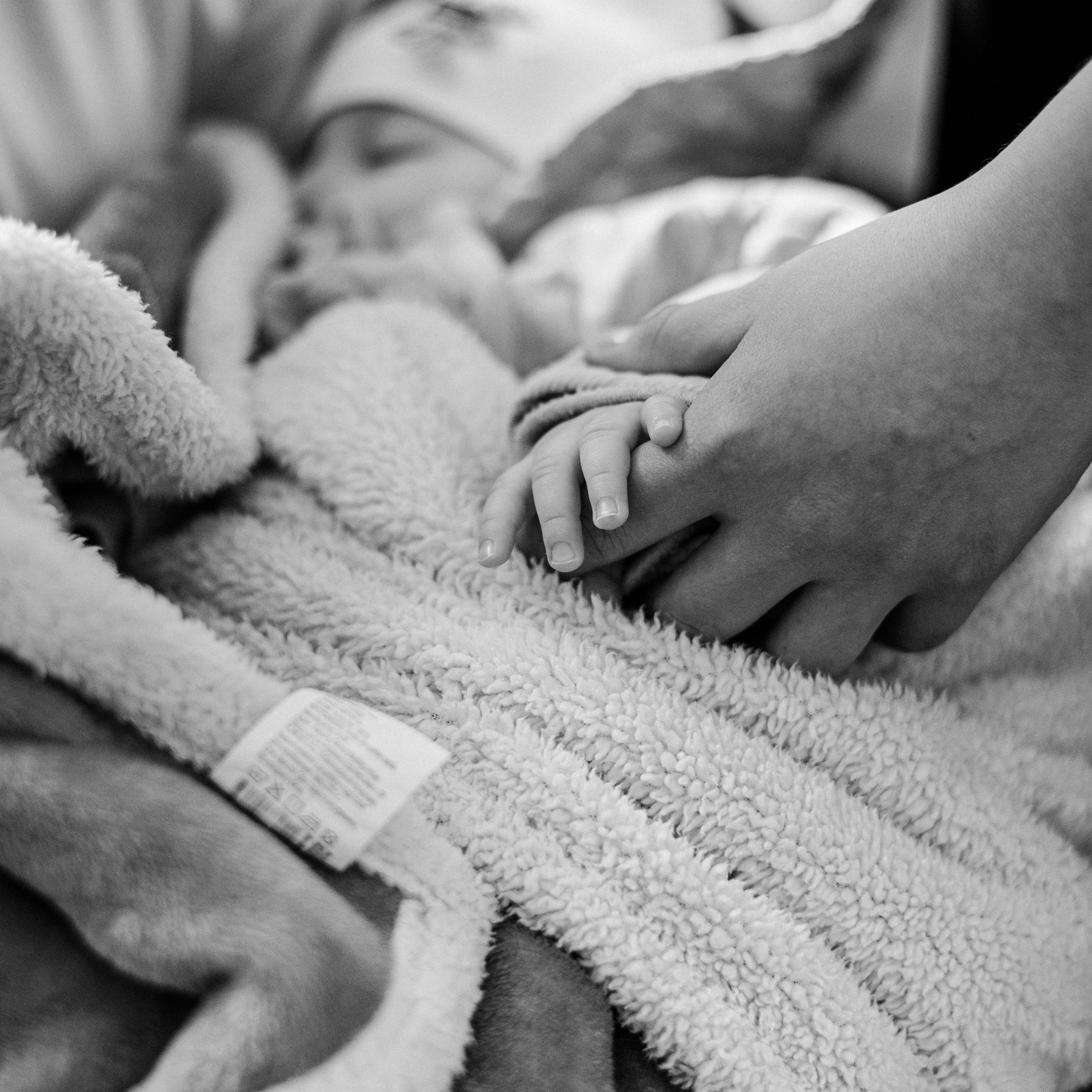 Отзывы. Свадебный фотограф Рязань Москва Корнина Лилия