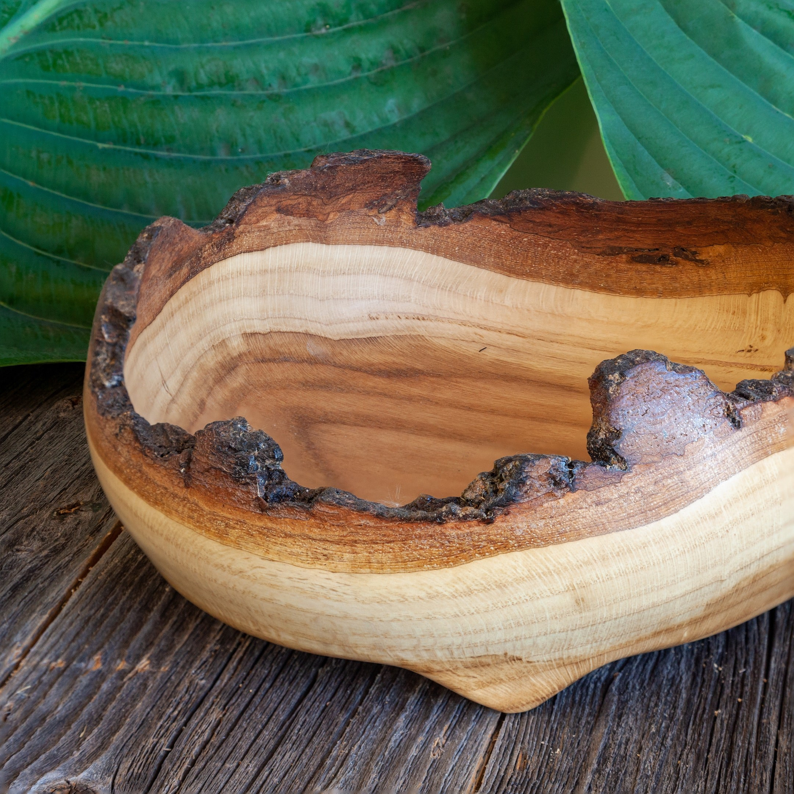 Чаши и тарелки из дерева ручной работы. Sergey Sutkovoy — Designer, photographer, traveler, woodworker