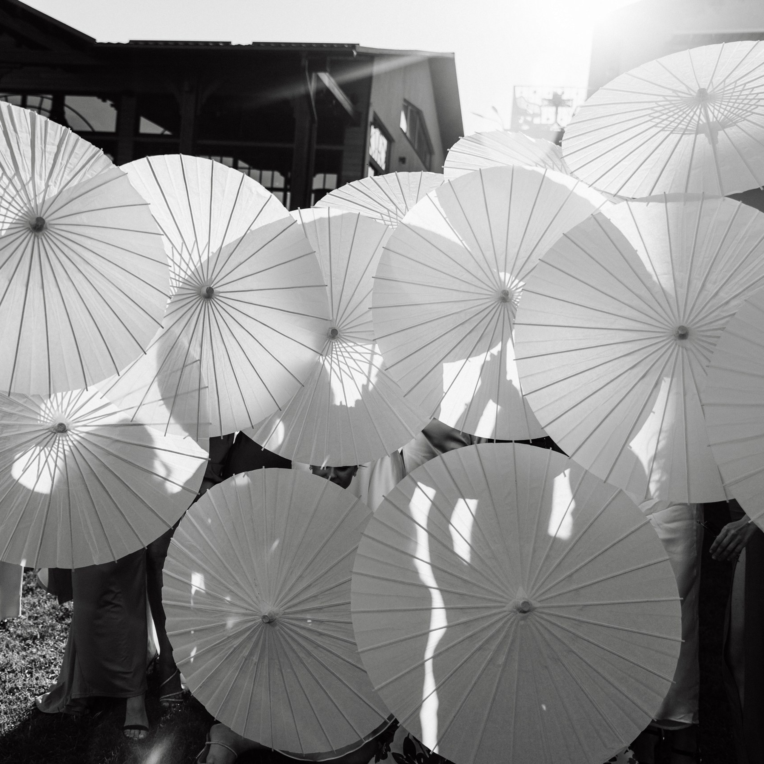 Давид и Дарья