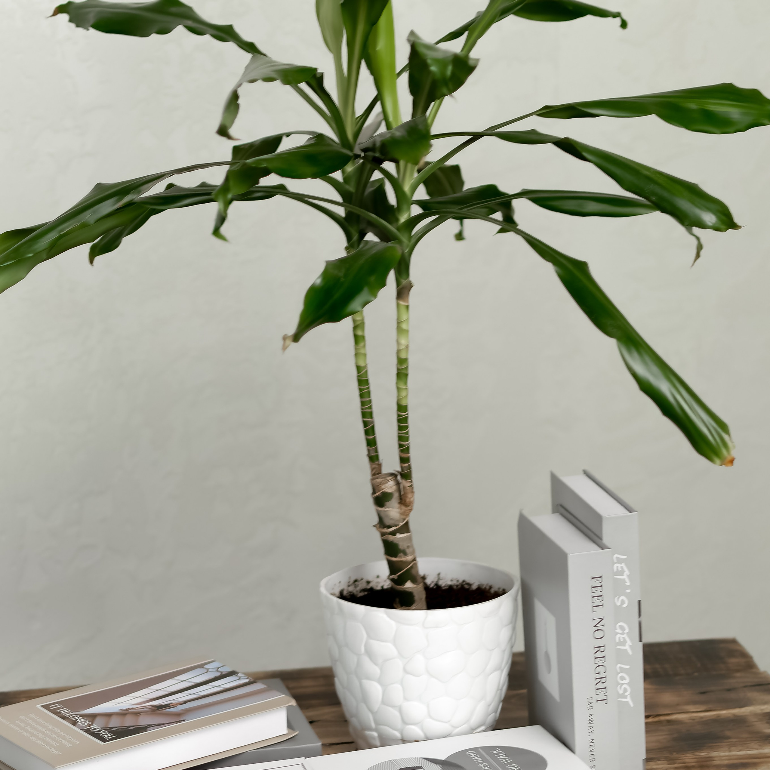 Отзывы. Фотограф беременности и новорожденных Мария Шмидт