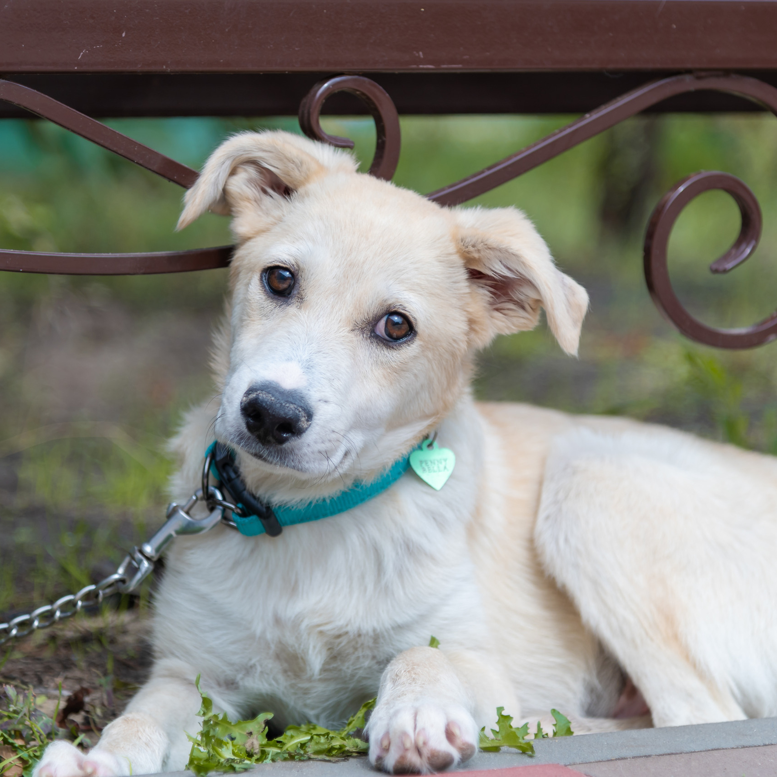 Отзывы о работе фотографа. Выпускные альбомы Волгоград. Современные фотокниги с оживающими фотографиями. Фотограф Екатерина Луценко