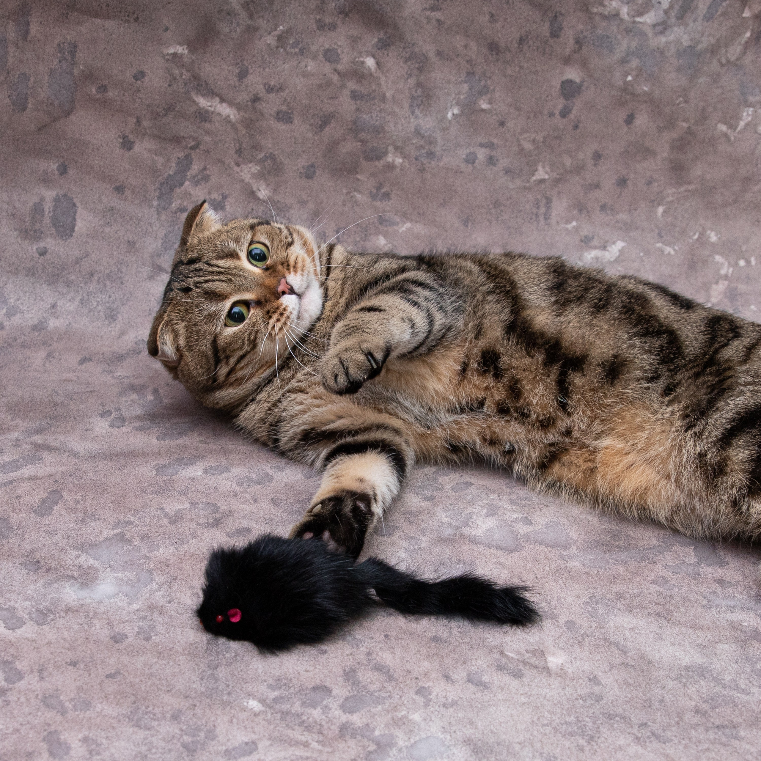 Отзывы. Свадебный и семейный фотограф. Краснодар. Ольга Столярова