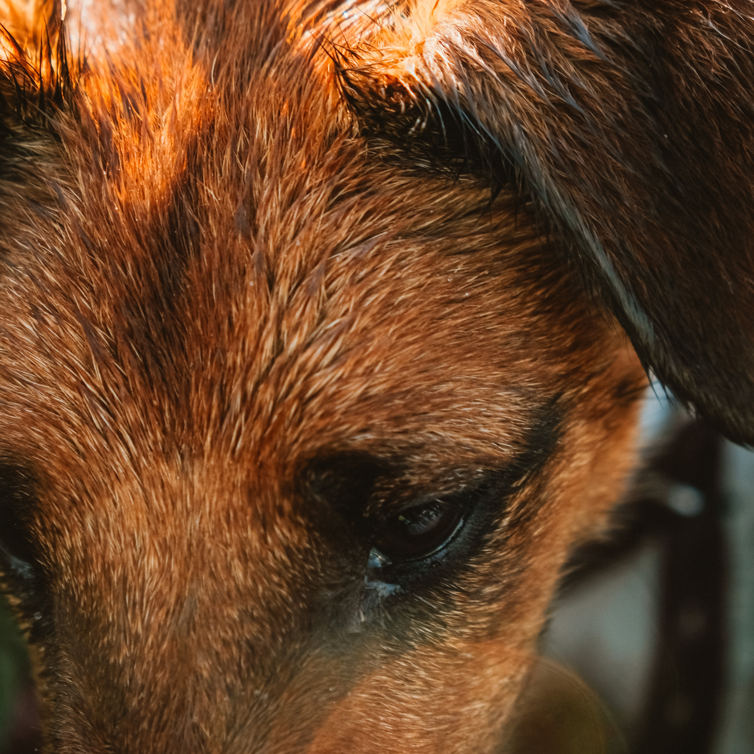 Отзывы. Самойленко Надежда фотограф