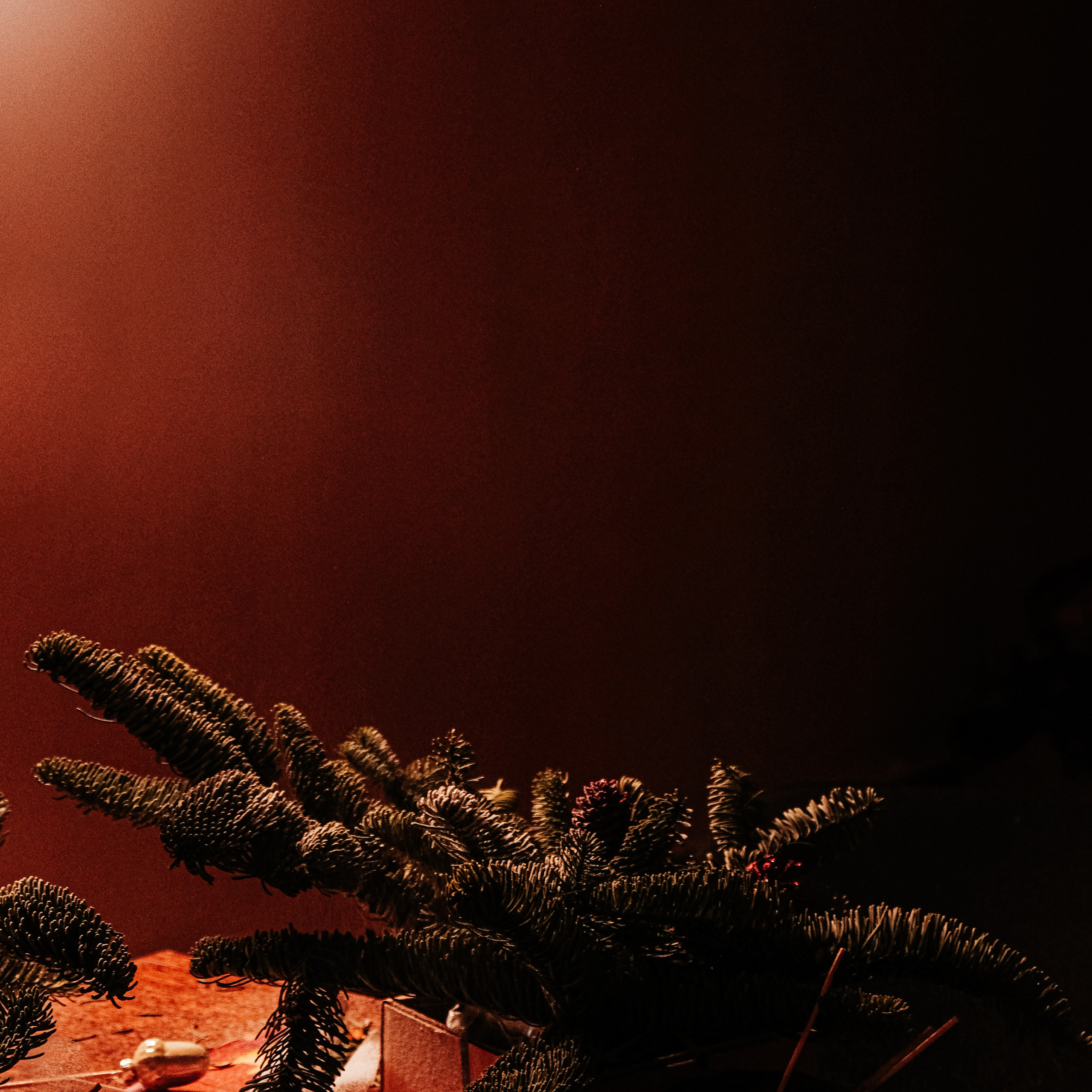 Отзывы. Самойленко Надежда фотограф