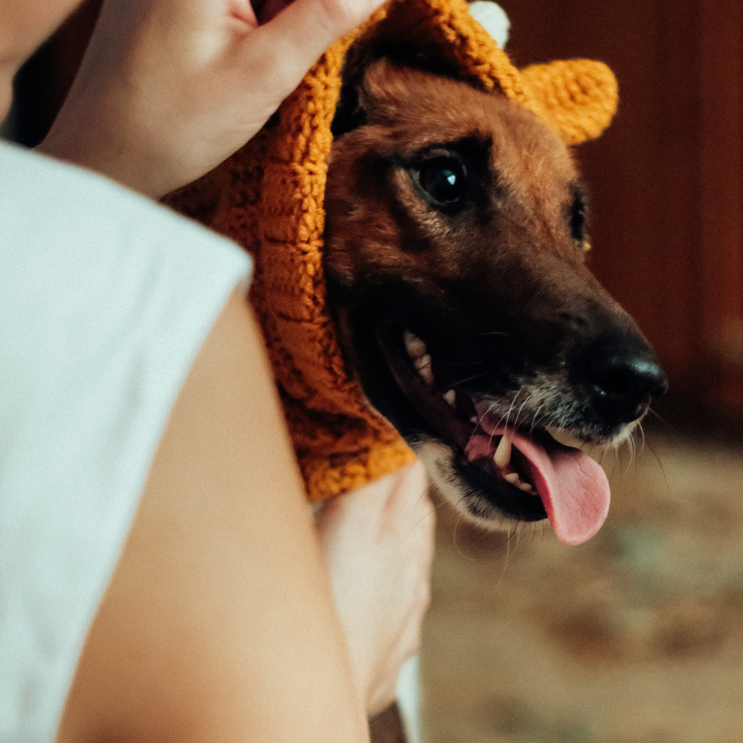 Отзывы. Самойленко Надежда фотограф
