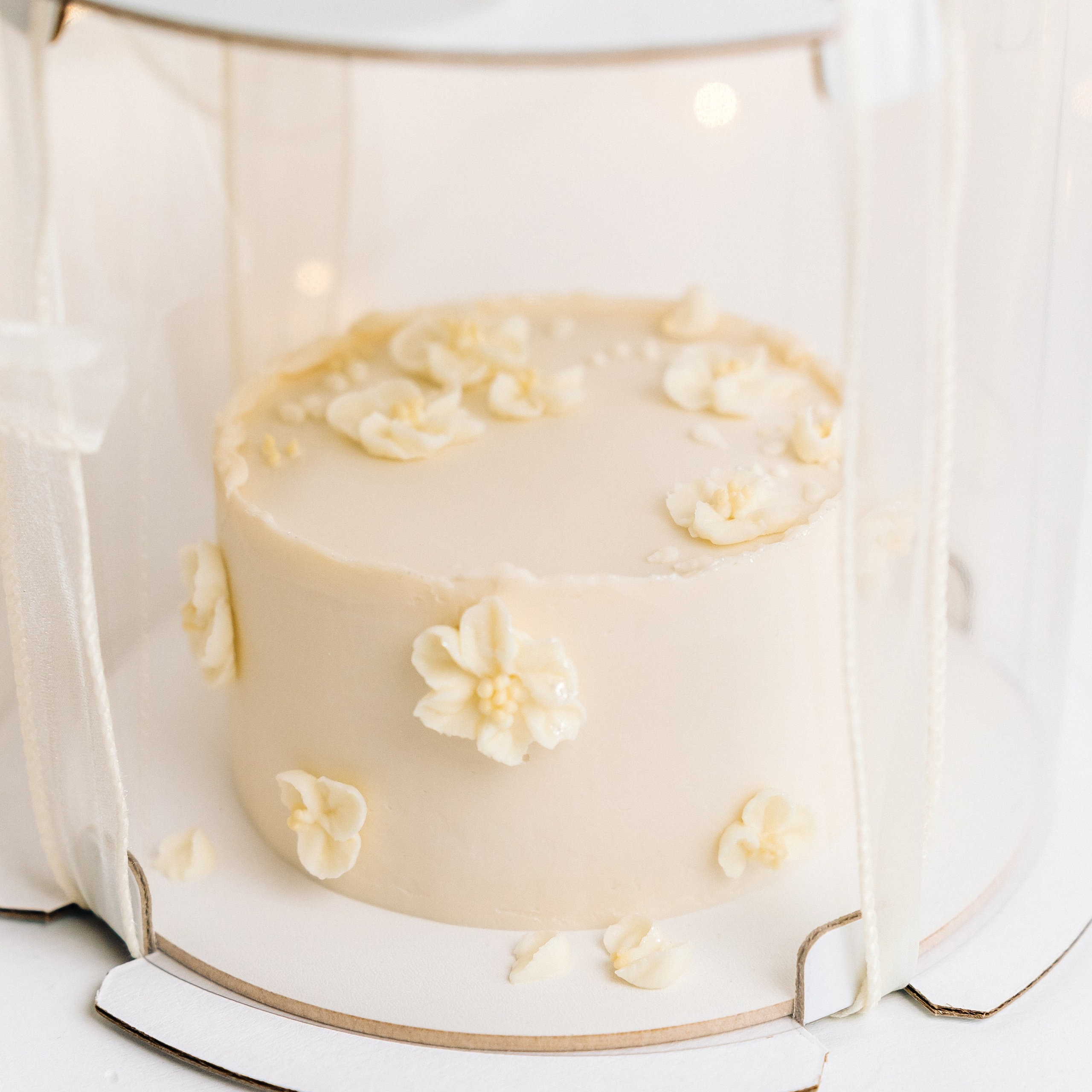 Торт бенто фокс. «Лама» Детская фотостудия Уфа