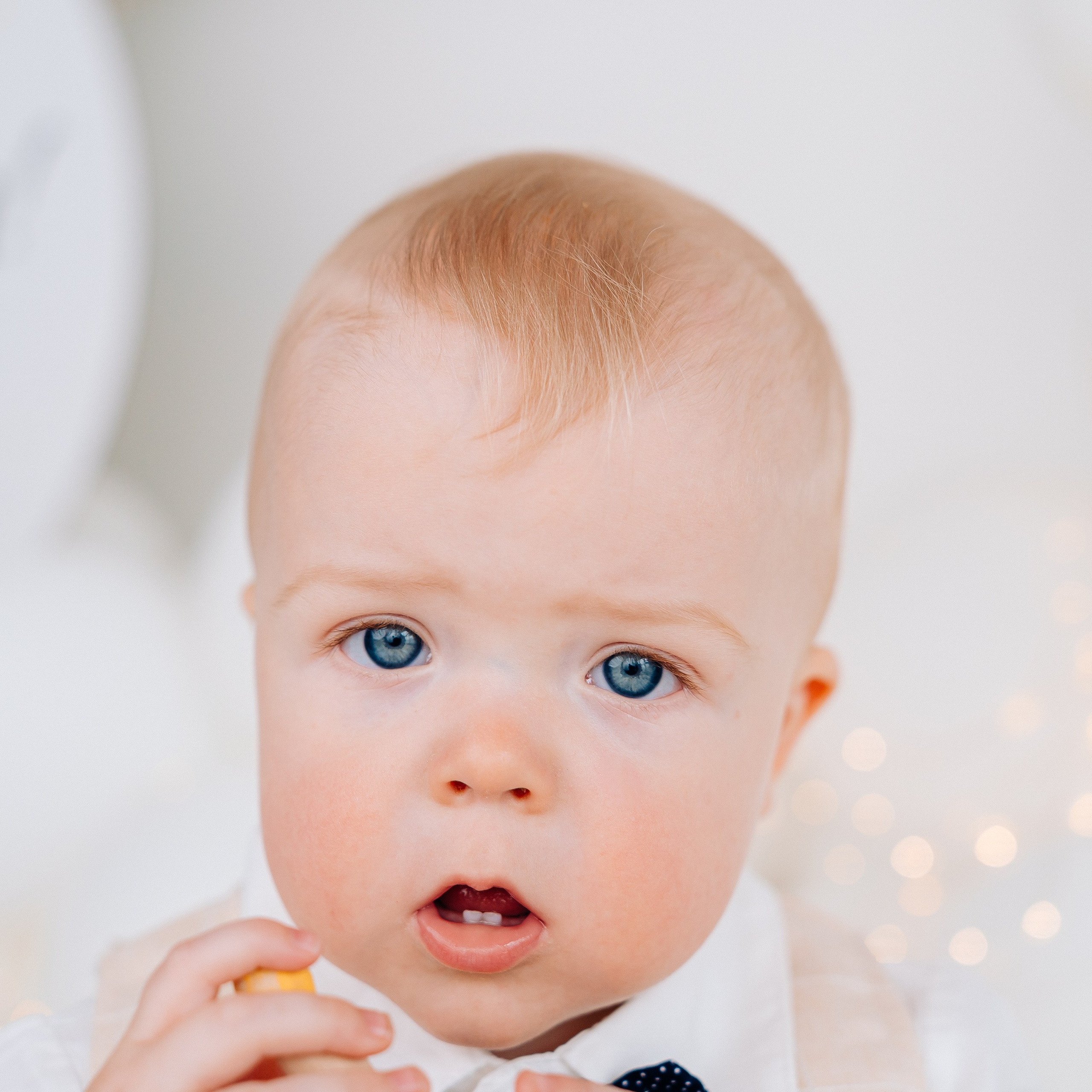 Лента фото. «Лама» Детская фотостудия Уфа