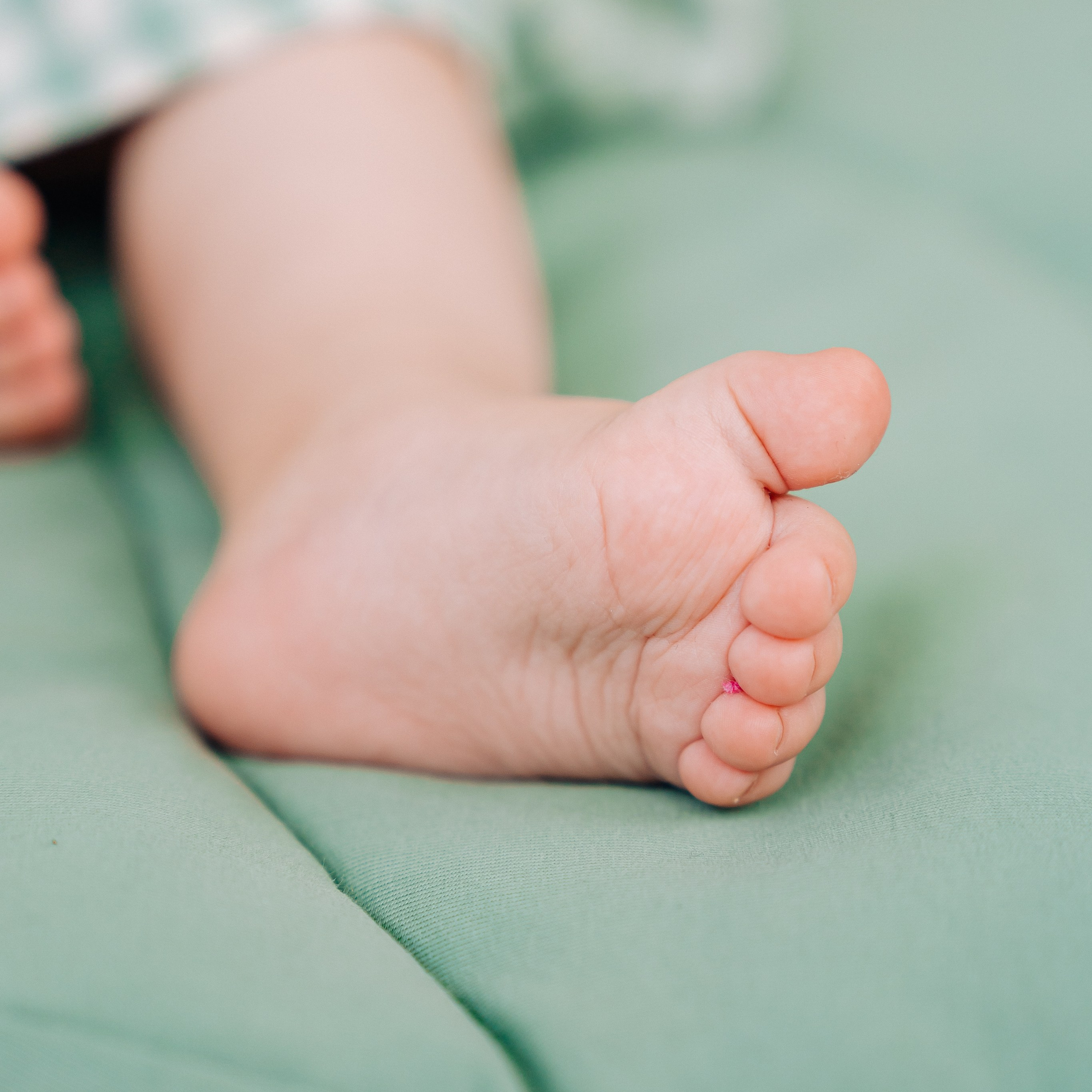 Лента фото. «Лама» Детская фотостудия Уфа