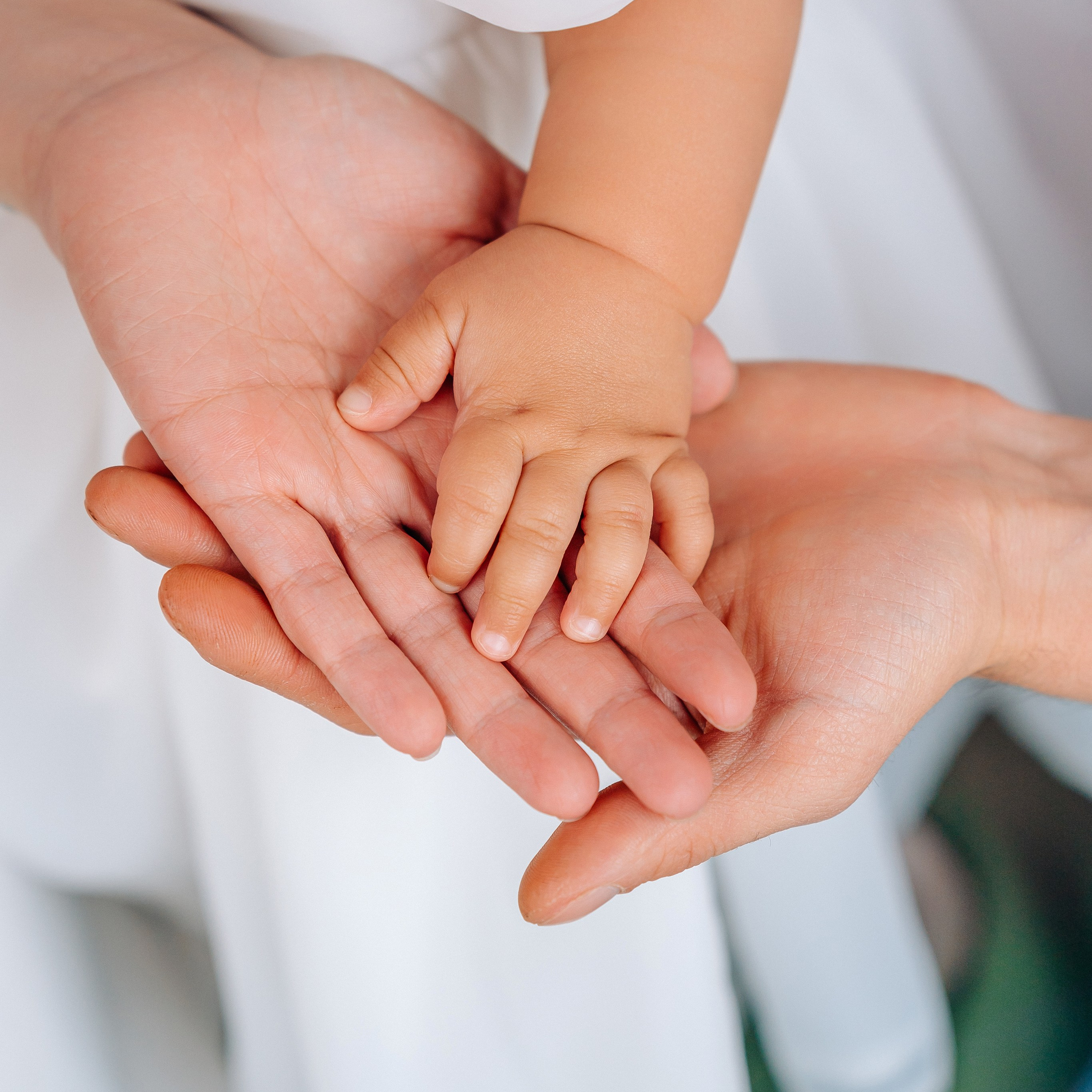 Лента фото. «Лама» Детская фотостудия Уфа