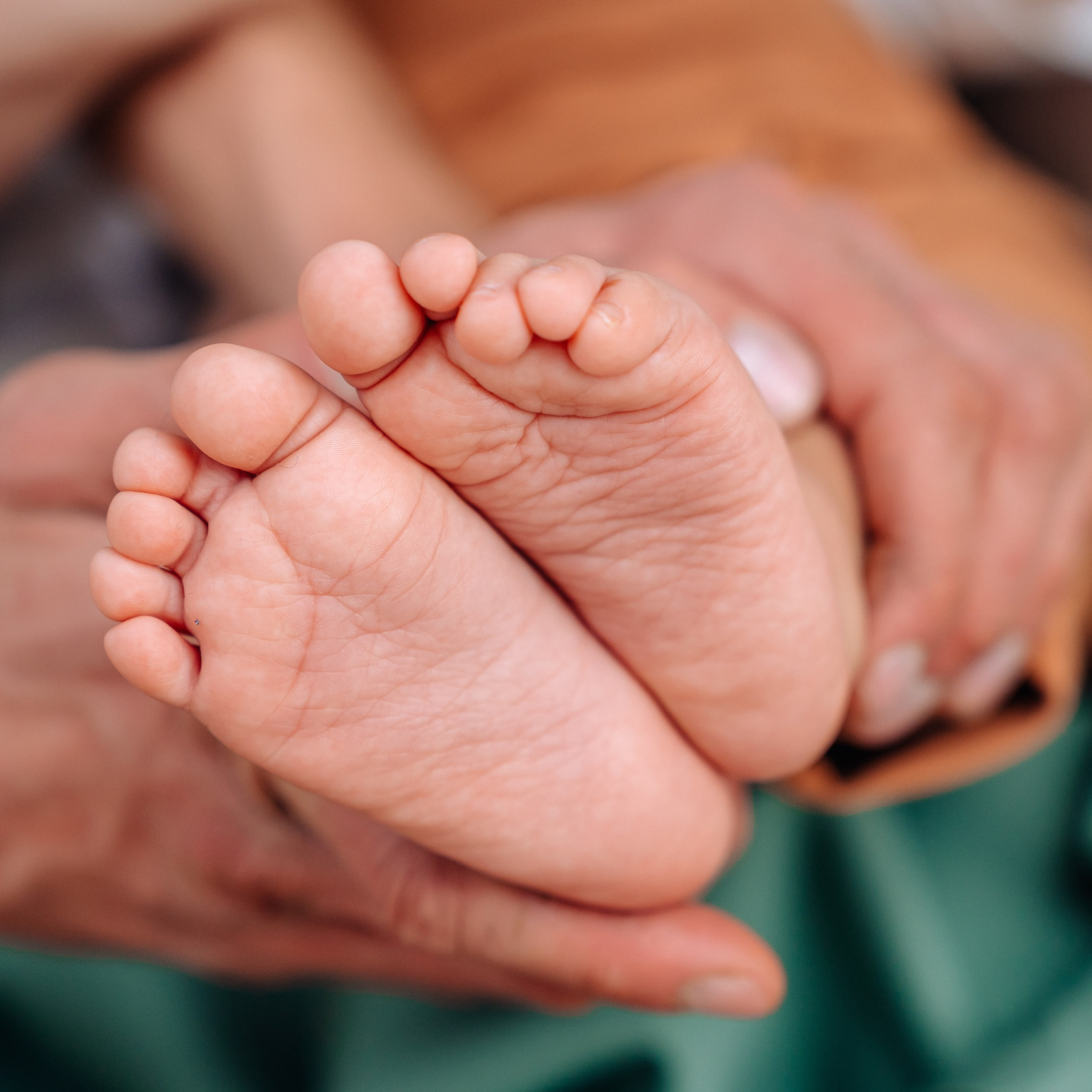 Лента фото. «Лама» Детская фотостудия Уфа