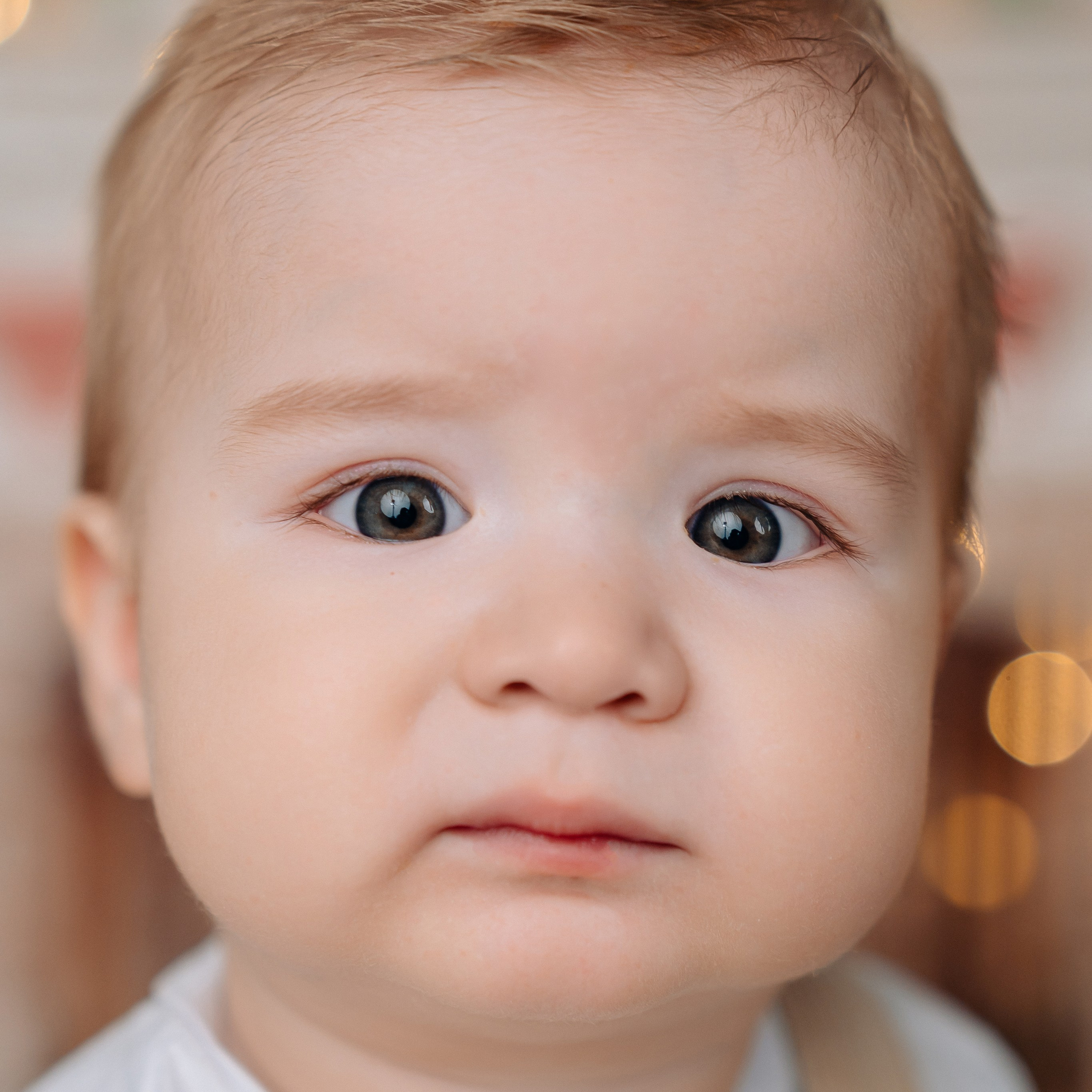 Лента фото. «Лама» Детская фотостудия Уфа