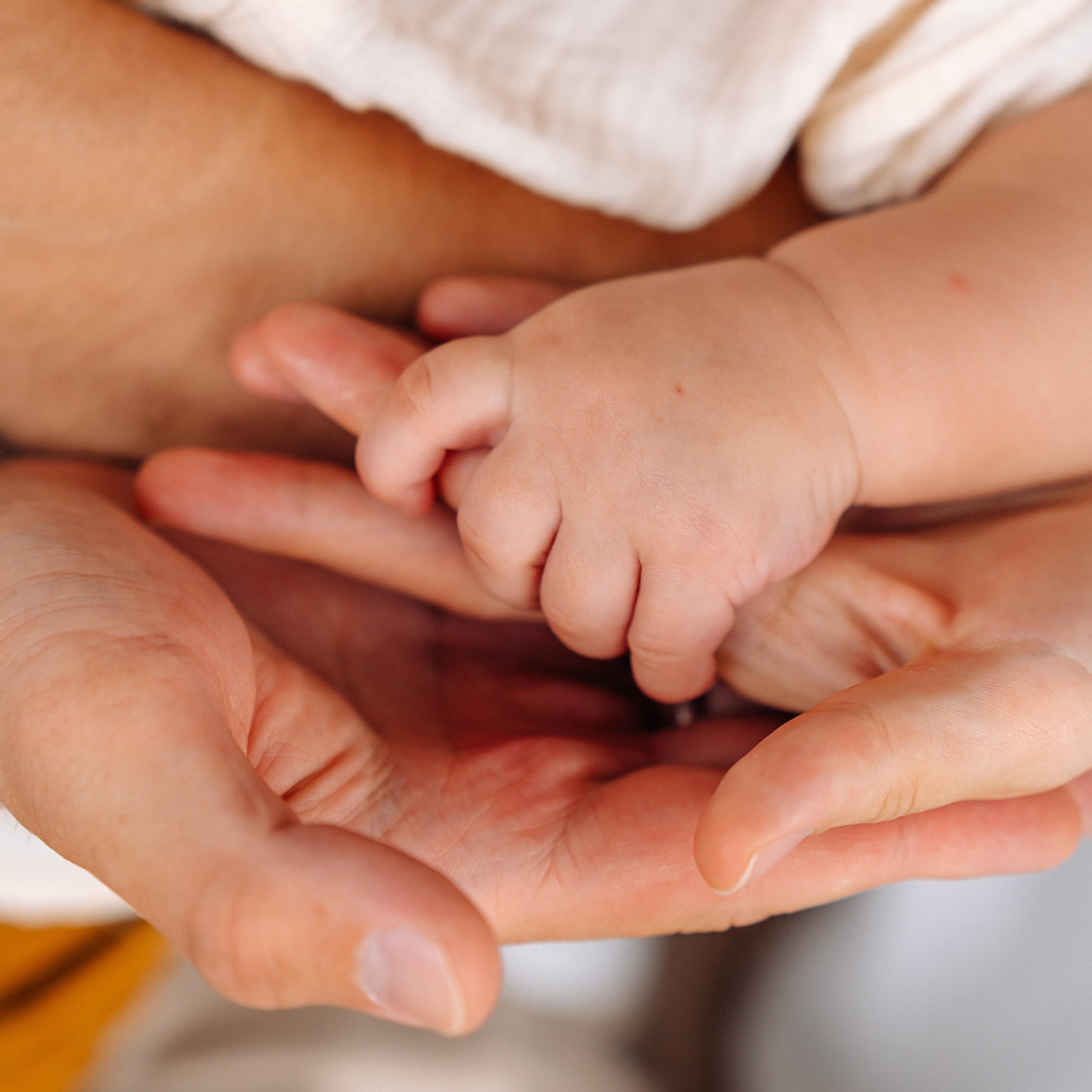 Лента фото. «Лама» Детская фотостудия Уфа